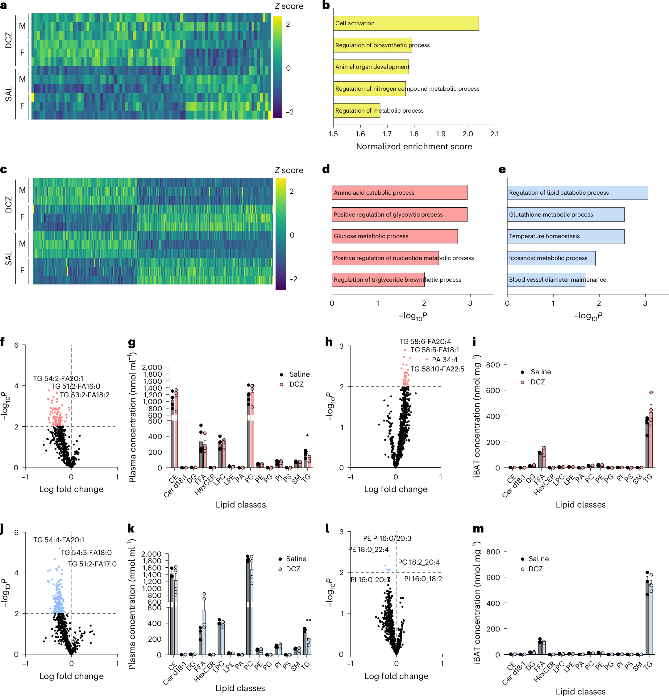 Fig. 2: Sex differences in the effects of chemogenetic stimulation of iBAT-projecting SNS neurons on lipid content of plasma and iBAT.
