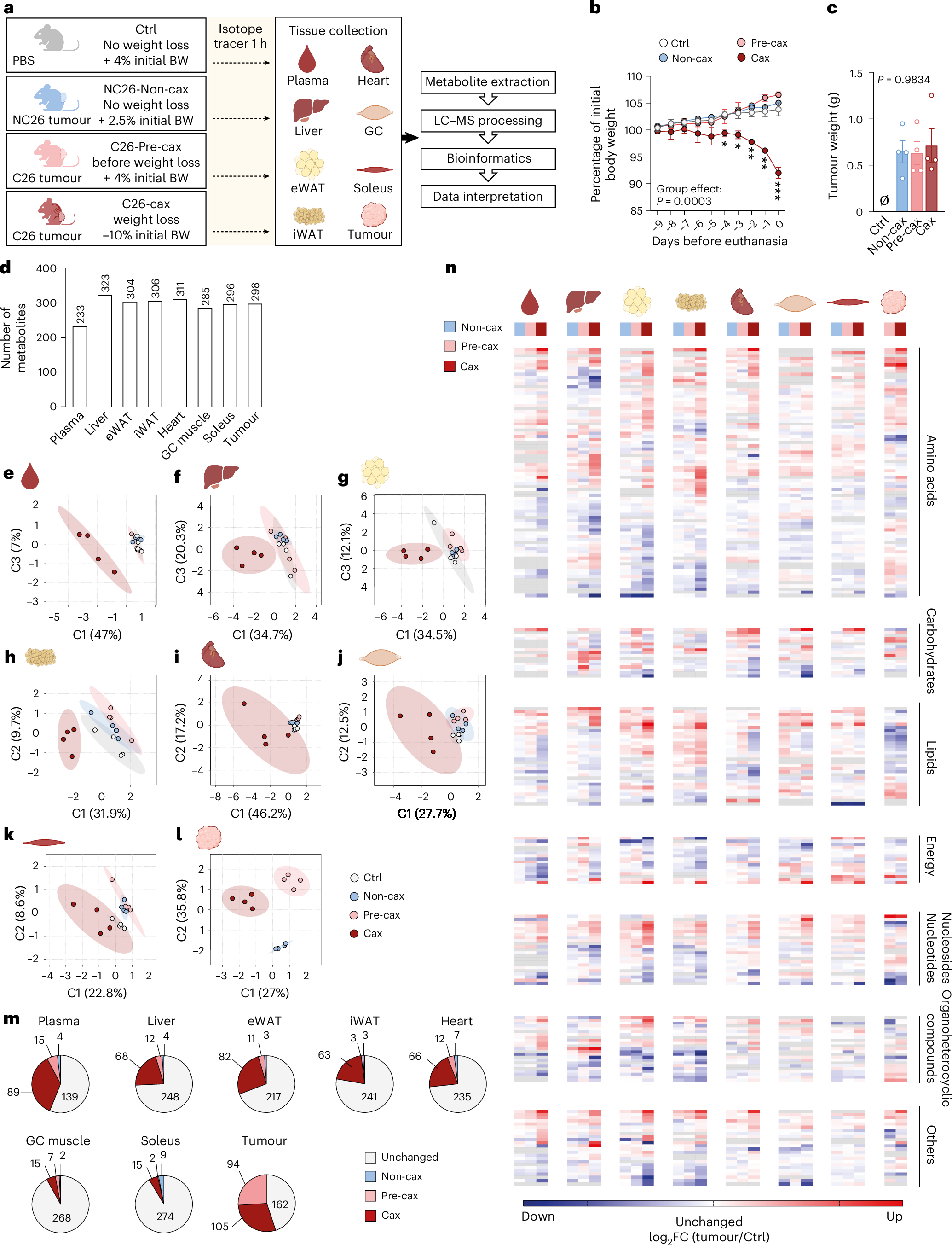 Fig. 1: Multi-tissue metabolomics in the C26 mouse model of cachexia reveals large cachexia-specific alterations in the metabolite profiles.