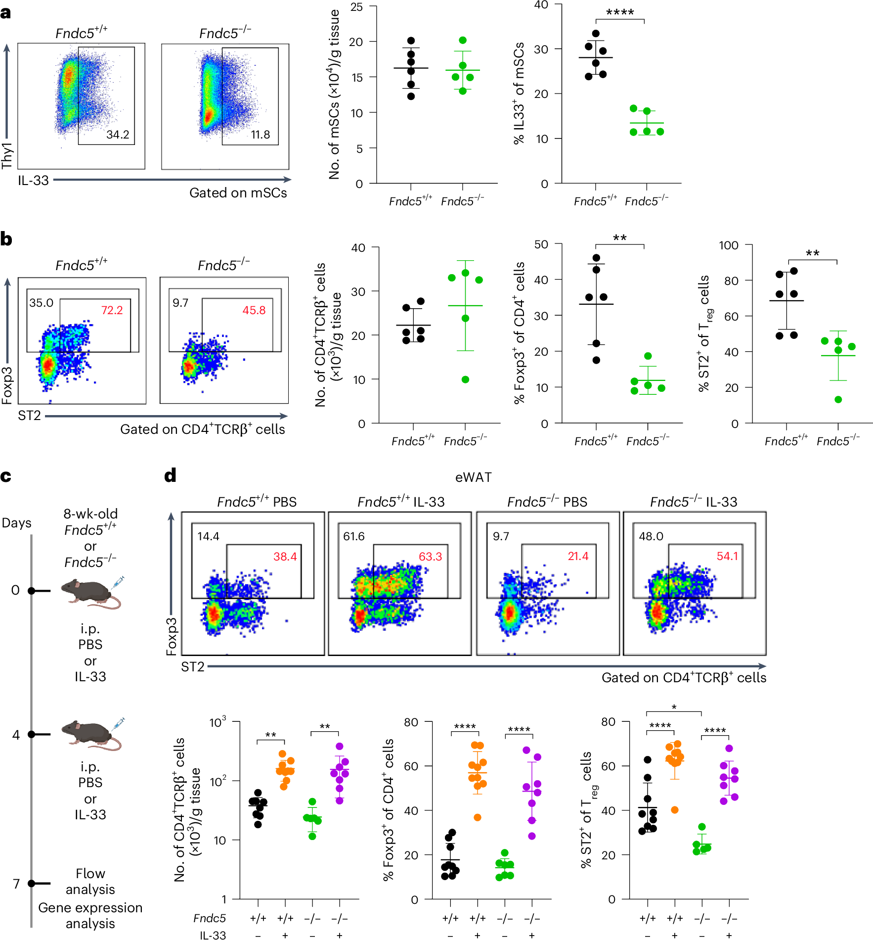 Fig. 4: Irisin controls the accumulation of ST2+ eWAT-Treg cells through IL-33.