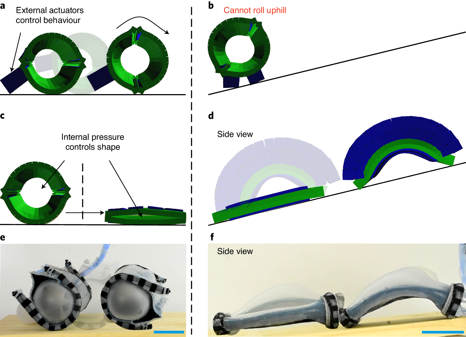 A soft robot that adapts to environments through shape change | Nature  Machine Intelligence