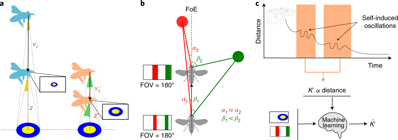 Enhancing optical-flow-based control by appearance cues for flying | Nature Machine Intelligence