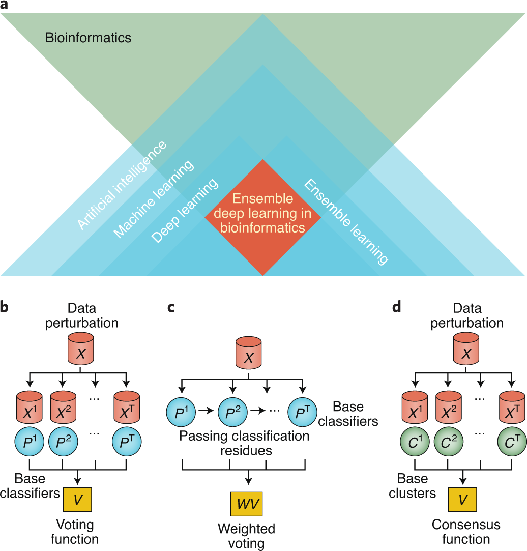 Ensemble deep learning in bioinformatics | Nature Machine Intelligence