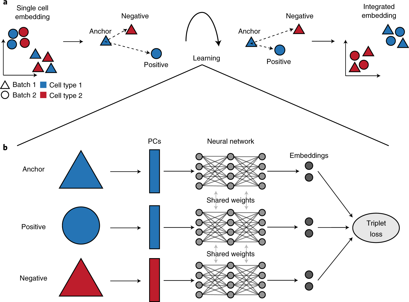 Triplet Alignment Model