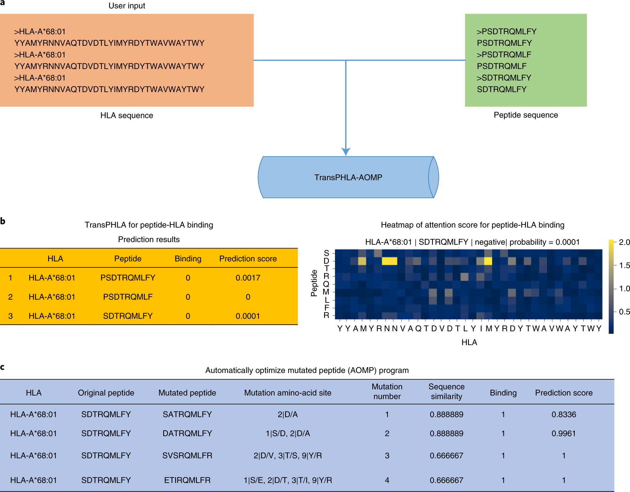 Frontiers  Multiple-Allele MHC Class II Epitope Engineering by a Molecular  Dynamics-Based Evolution Protocol