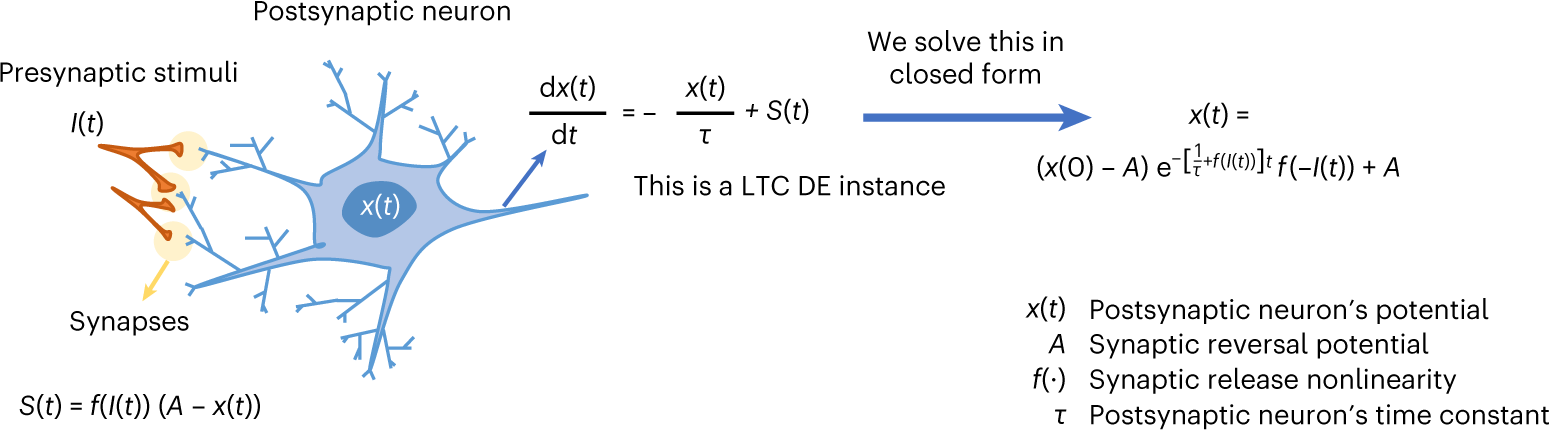 Closed-form continuous-time neural networks | Nature Machine Intelligence