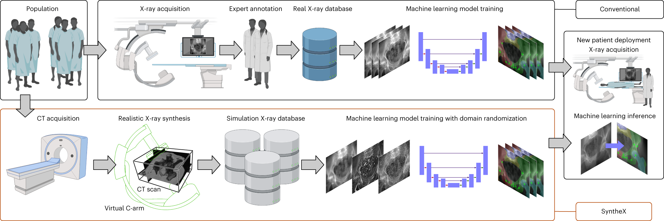 Synthetic data accelerates the development of generalizable learning-based  algorithms for X-ray image analysis