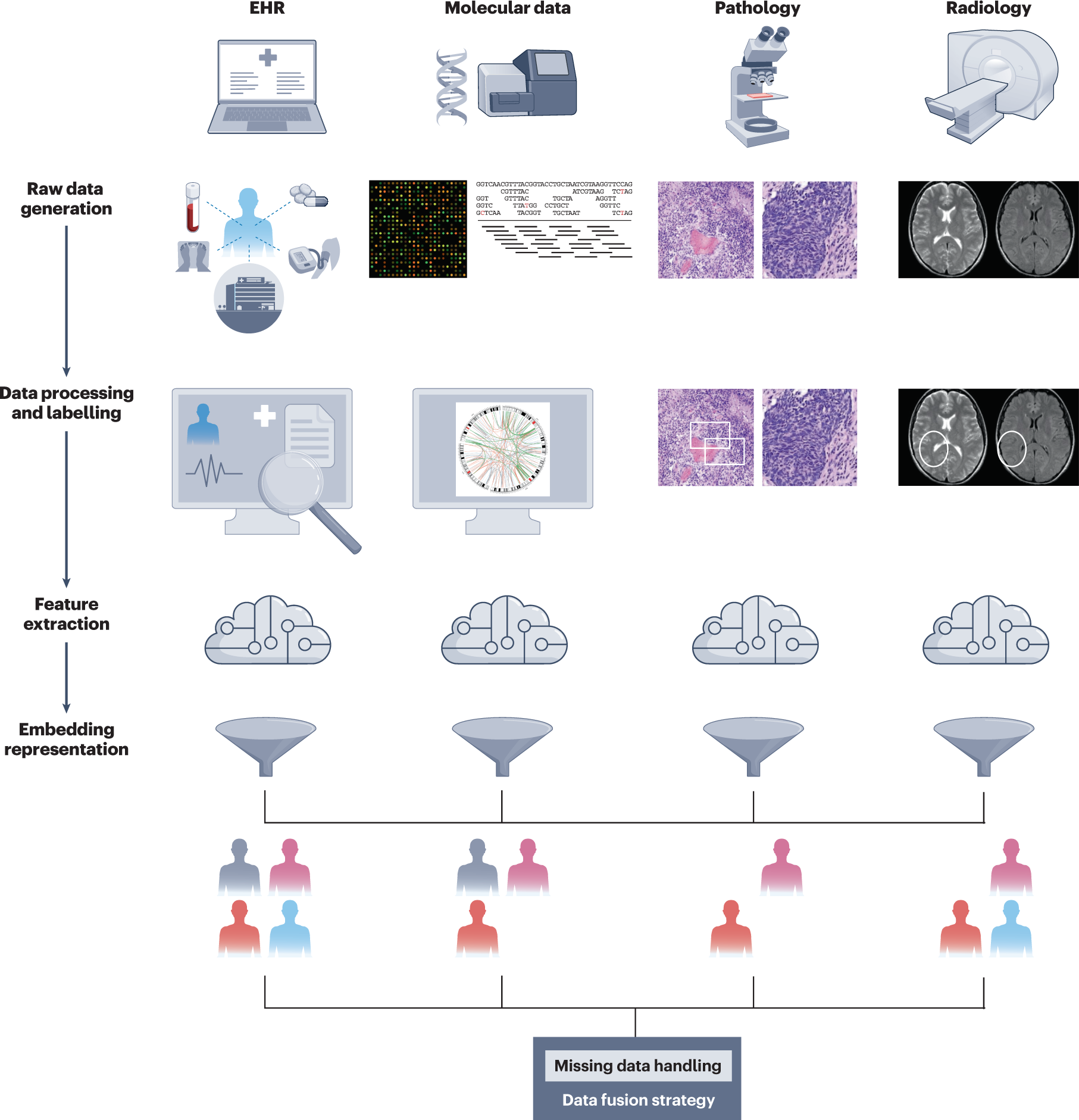 Multimodal data fusion for cancer biomarker discovery with deep learning |  Nature Machine Intelligence
