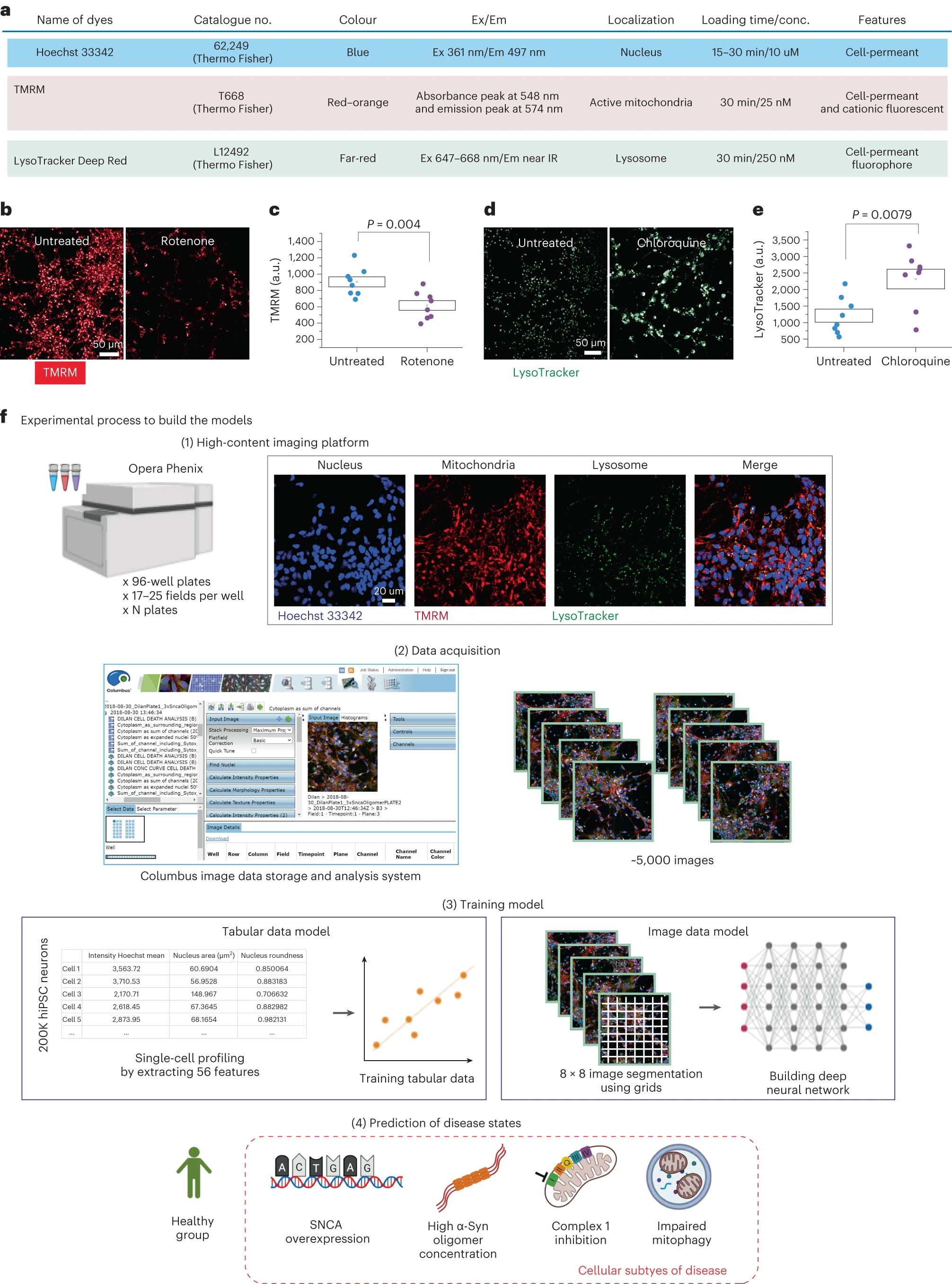 Workflow to develop a classifier to make a prediction of cellular subtypes in PD