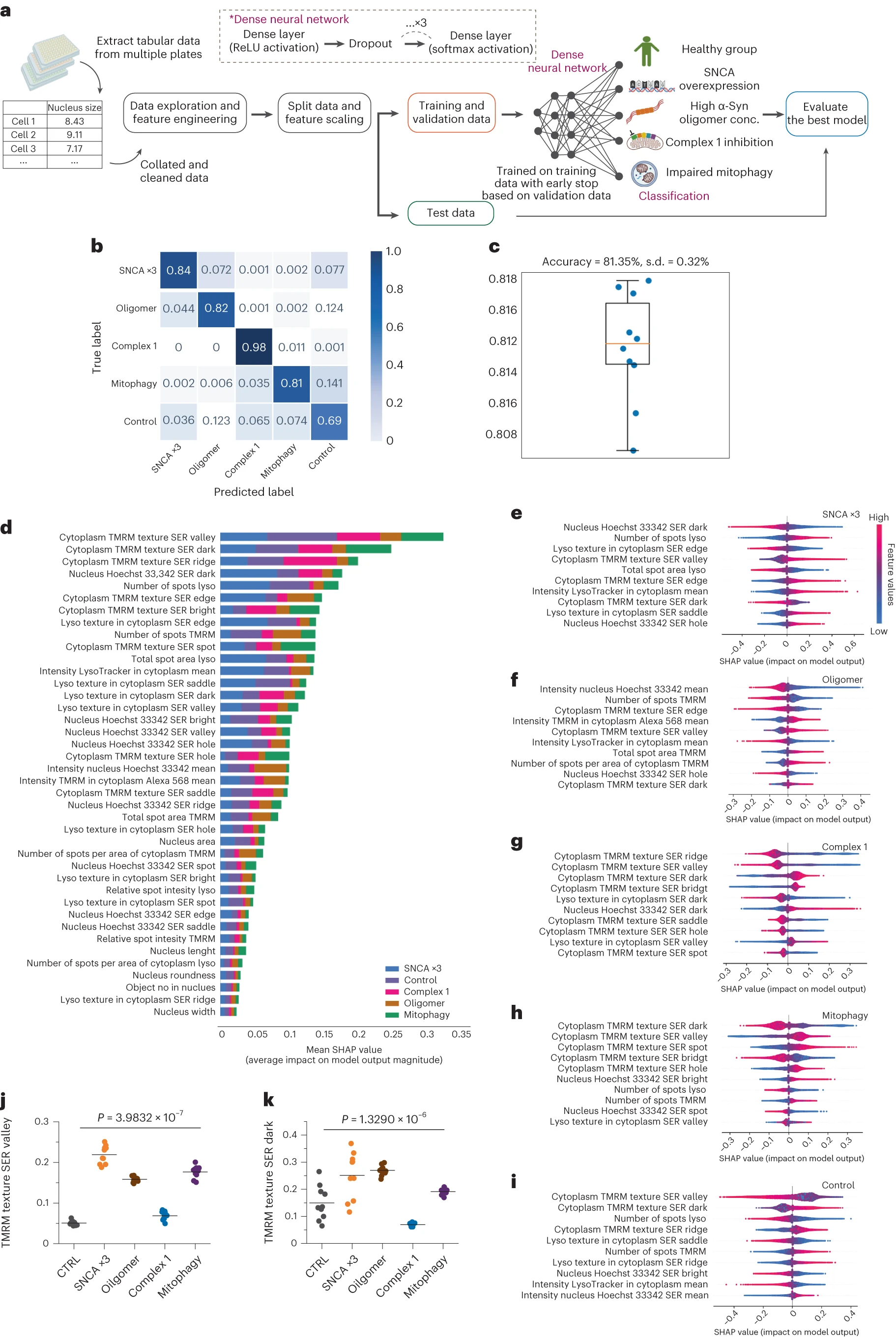 A classifier trained on cell profiles of key organelles predicts disease states with 82% accuracy.