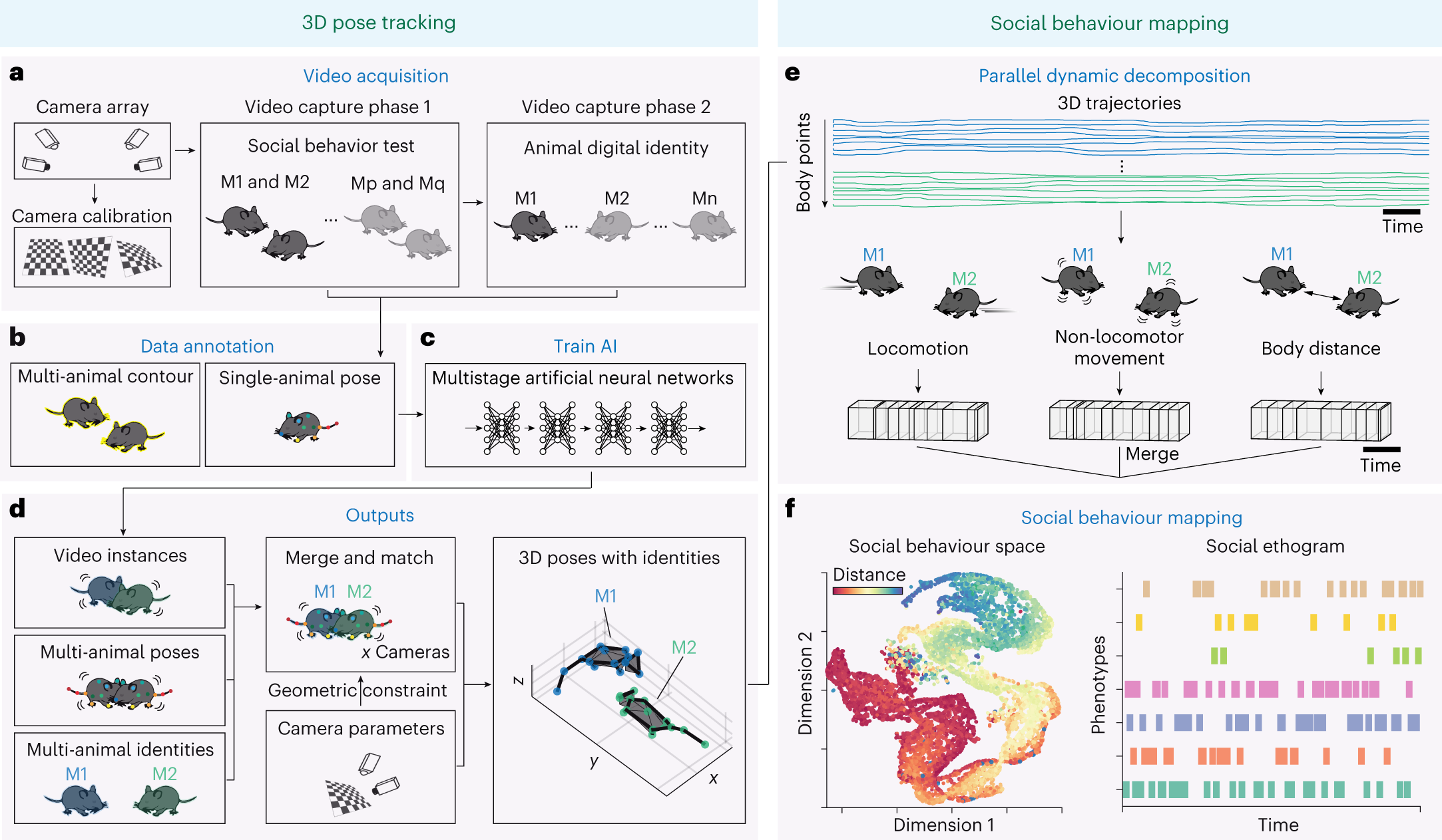 Fig. 1: The architecture of SBeA.