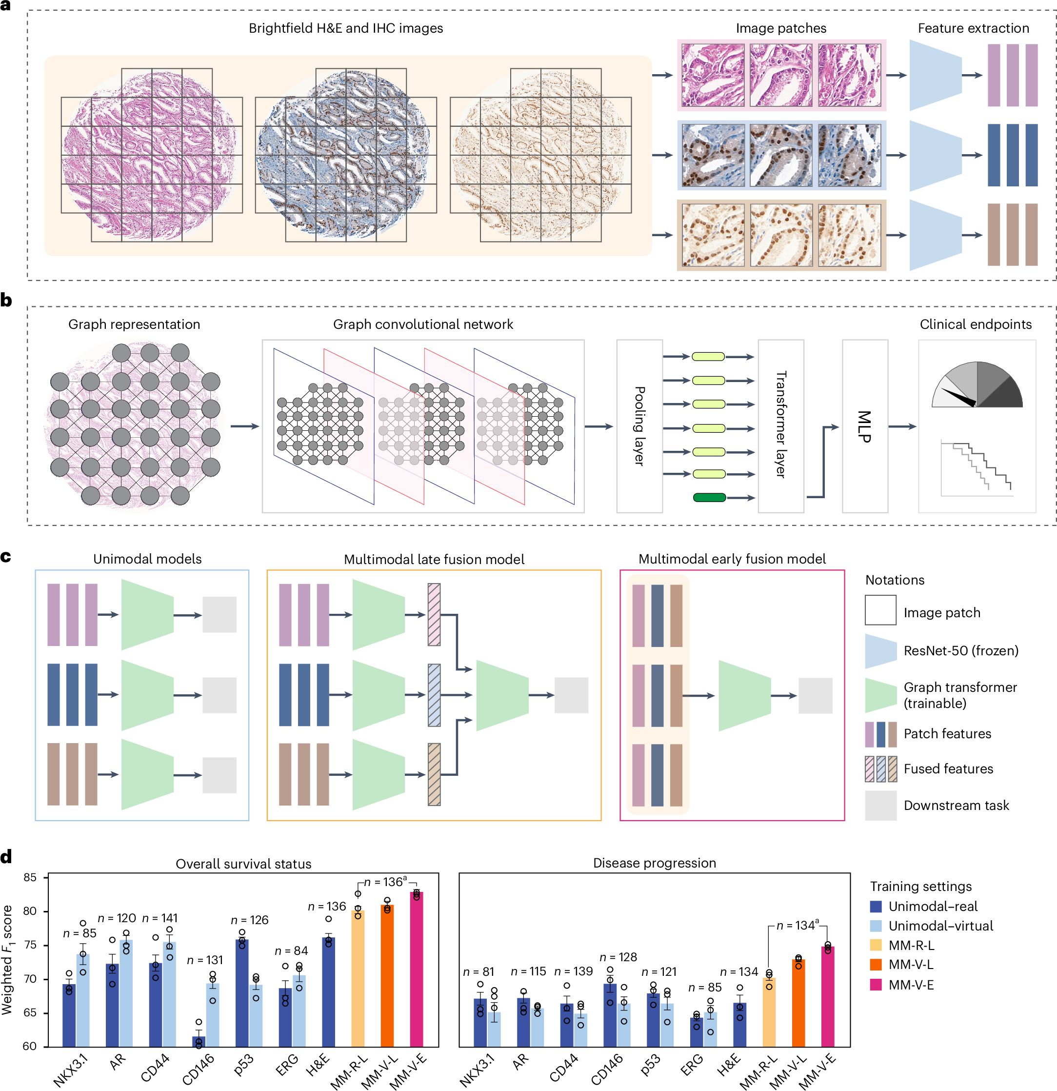 Fig. 5: Prediction of clinically relevant downstream tasks with virtually multiplexed data.