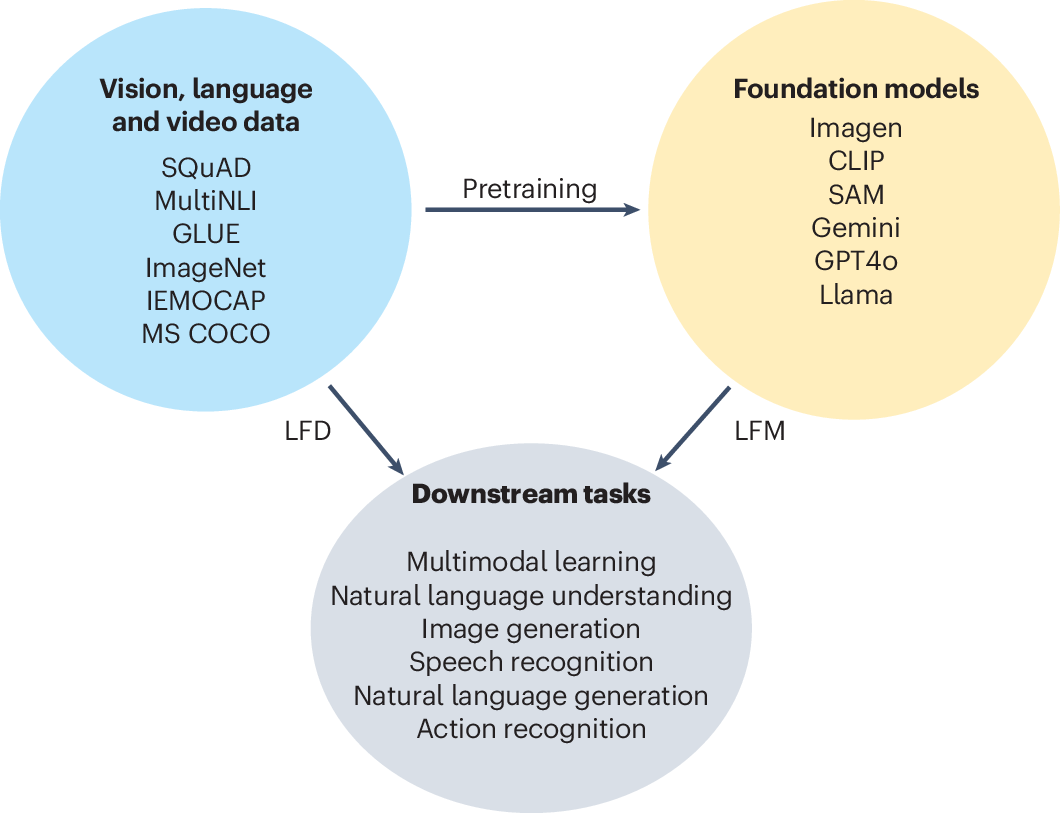 Learning from models beyond fine-tuning | Nature Machine Intelligence