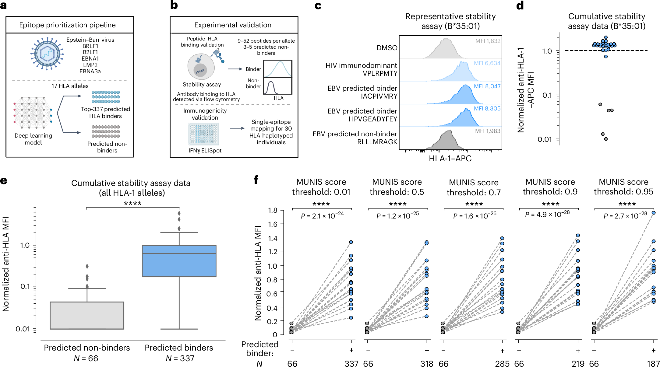 Fig. 5: Experimental HLA-I–peptide stability assay confirms the ability of MUNIS to discriminate between binding and non-binding peptides within EBV.