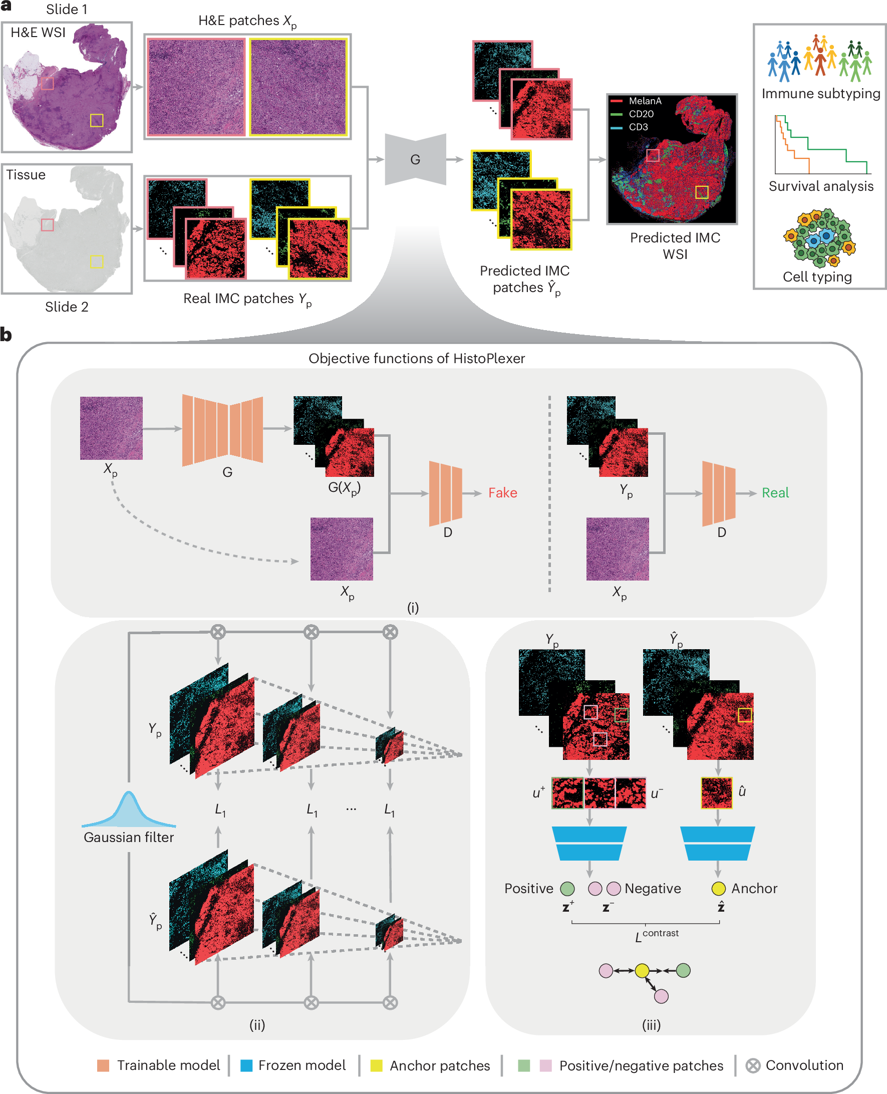 Fig. 1: Overview of HistoPlexer architecture.