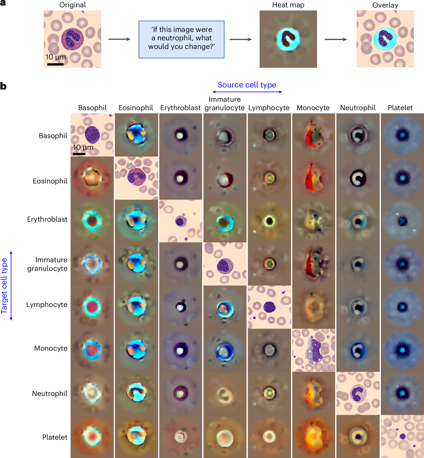 Fig. 4: Counterfactual visualizations for model explainability.