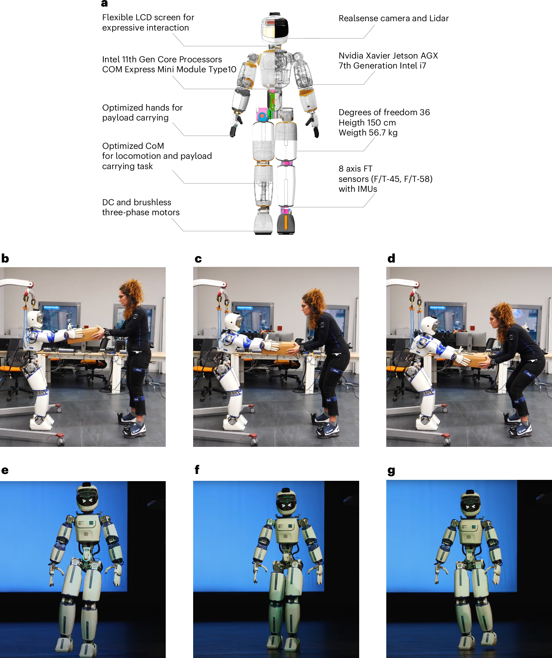 Humanoid Robot Balance: How Object Mass Changes Lifting Stability