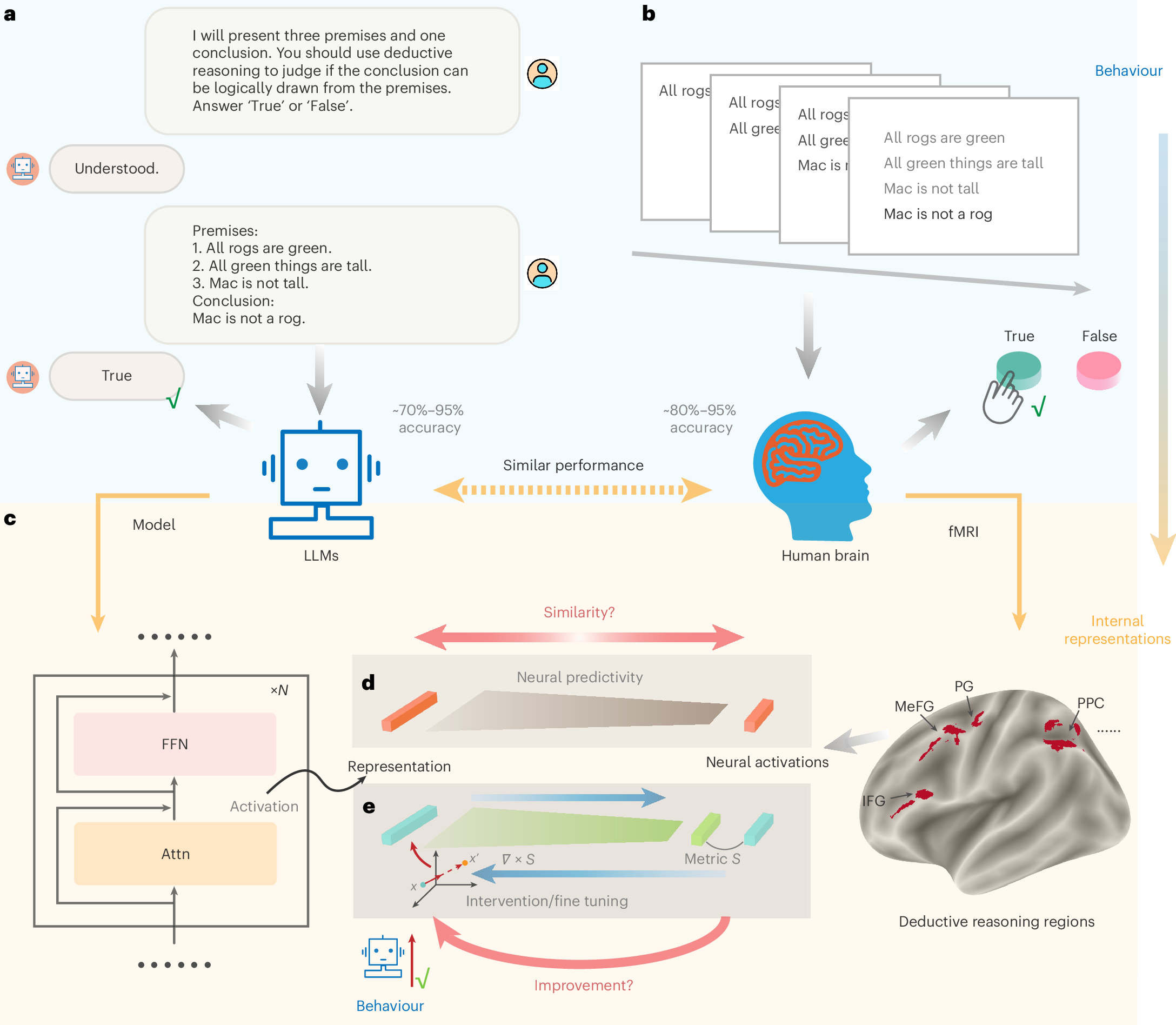 Beyond representational alignment with brain-guided language models for robust reasoning