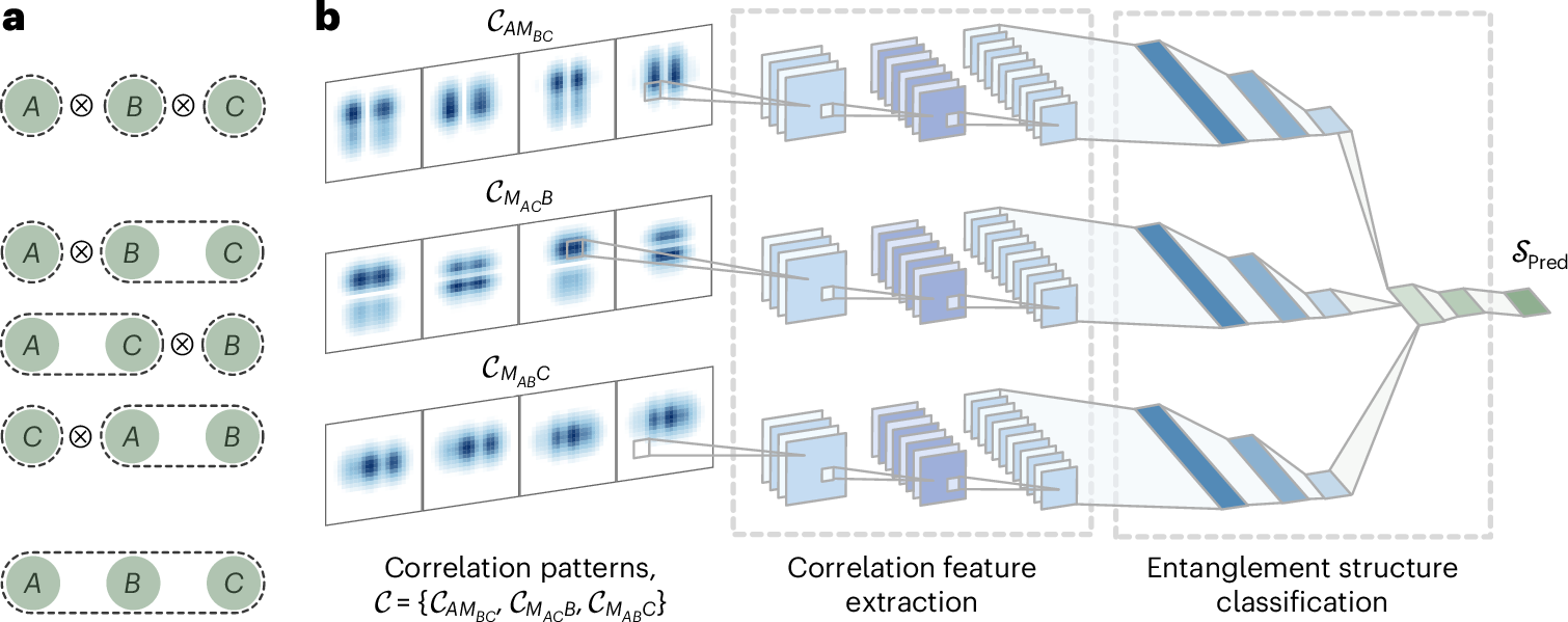 Classifying multipartite continuous-variable entanglement structures through data-augmented neural networks