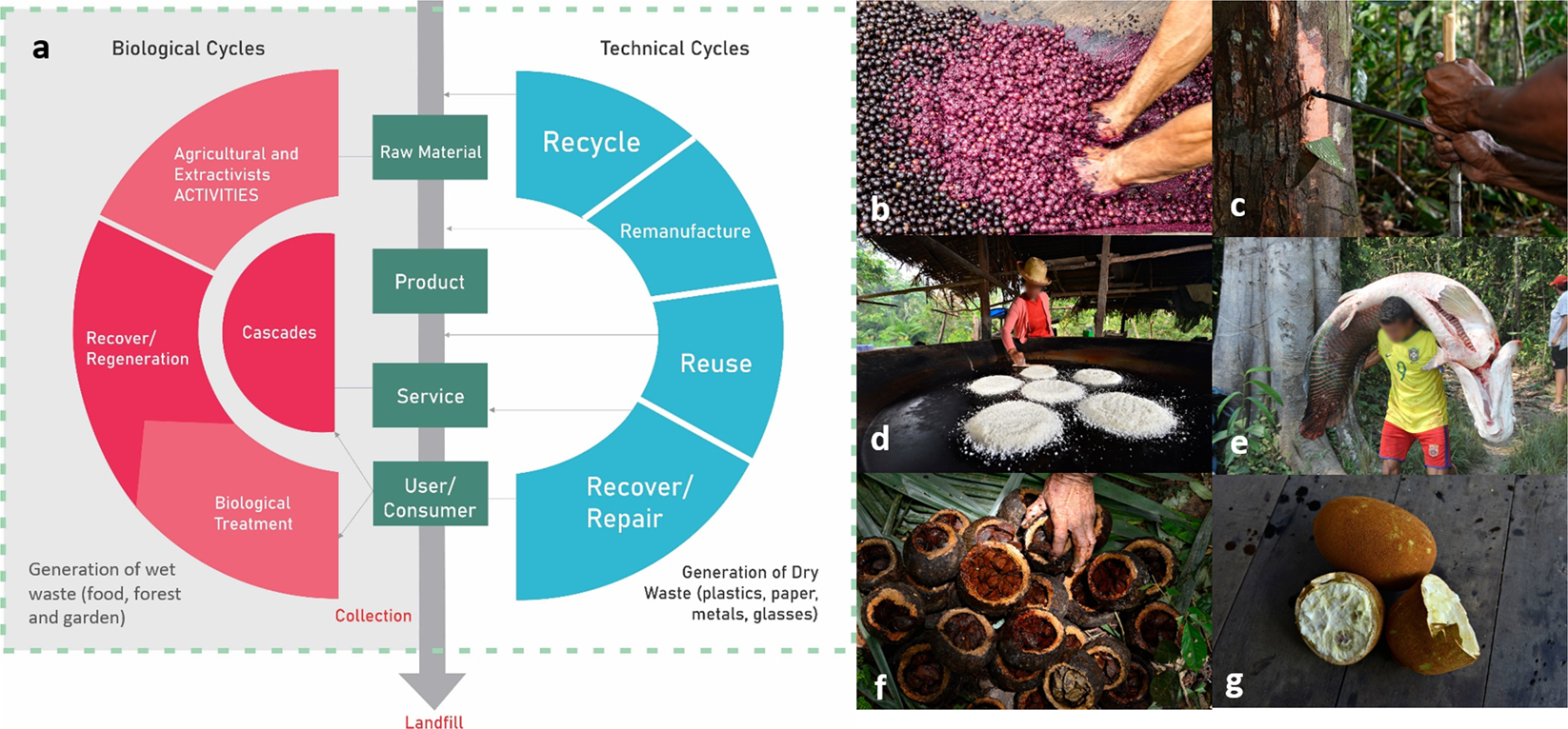 Integrating circular economy in urban Amazon | npj Urban Sustainability