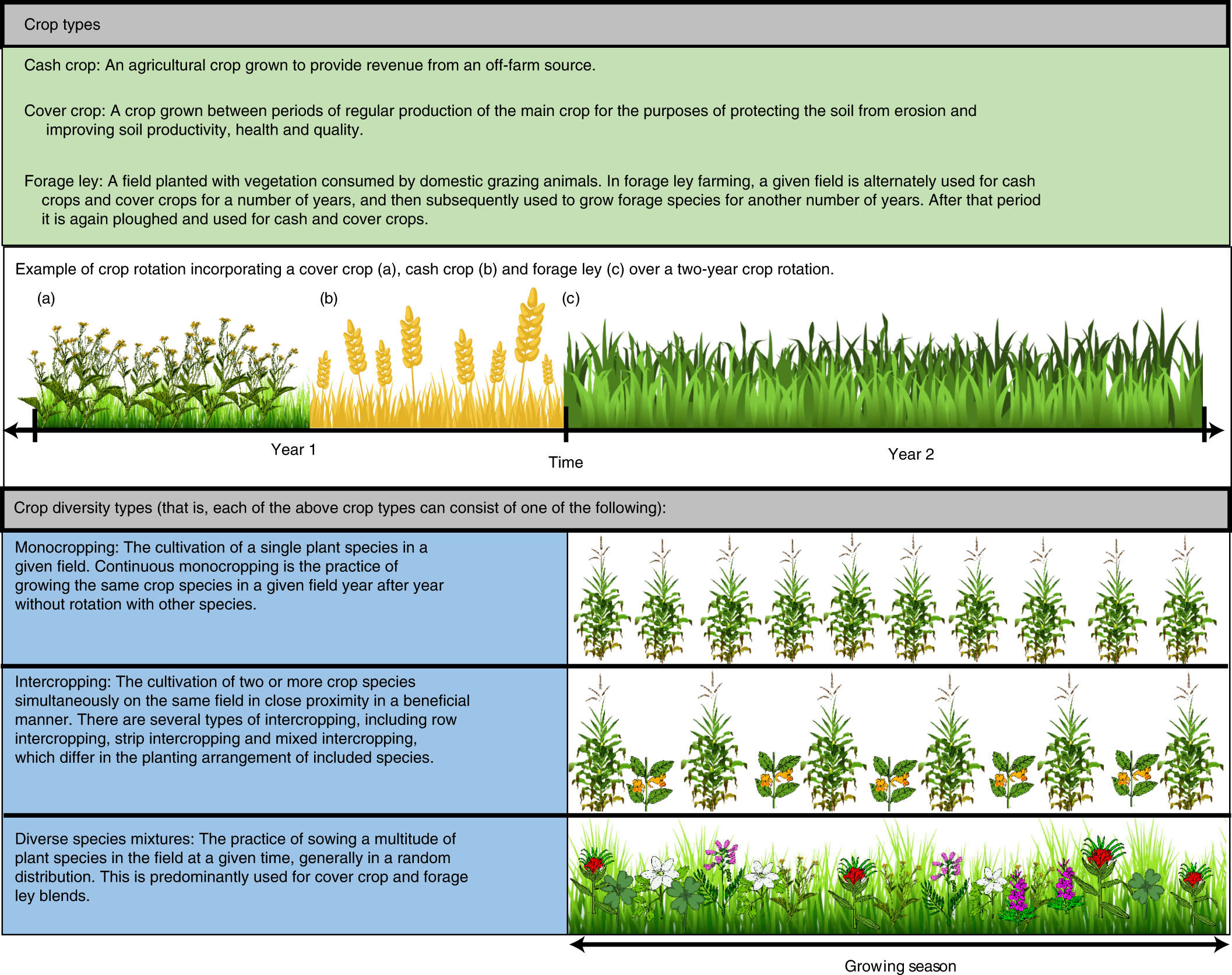 Crop cover is more important than rotational diversity for soil