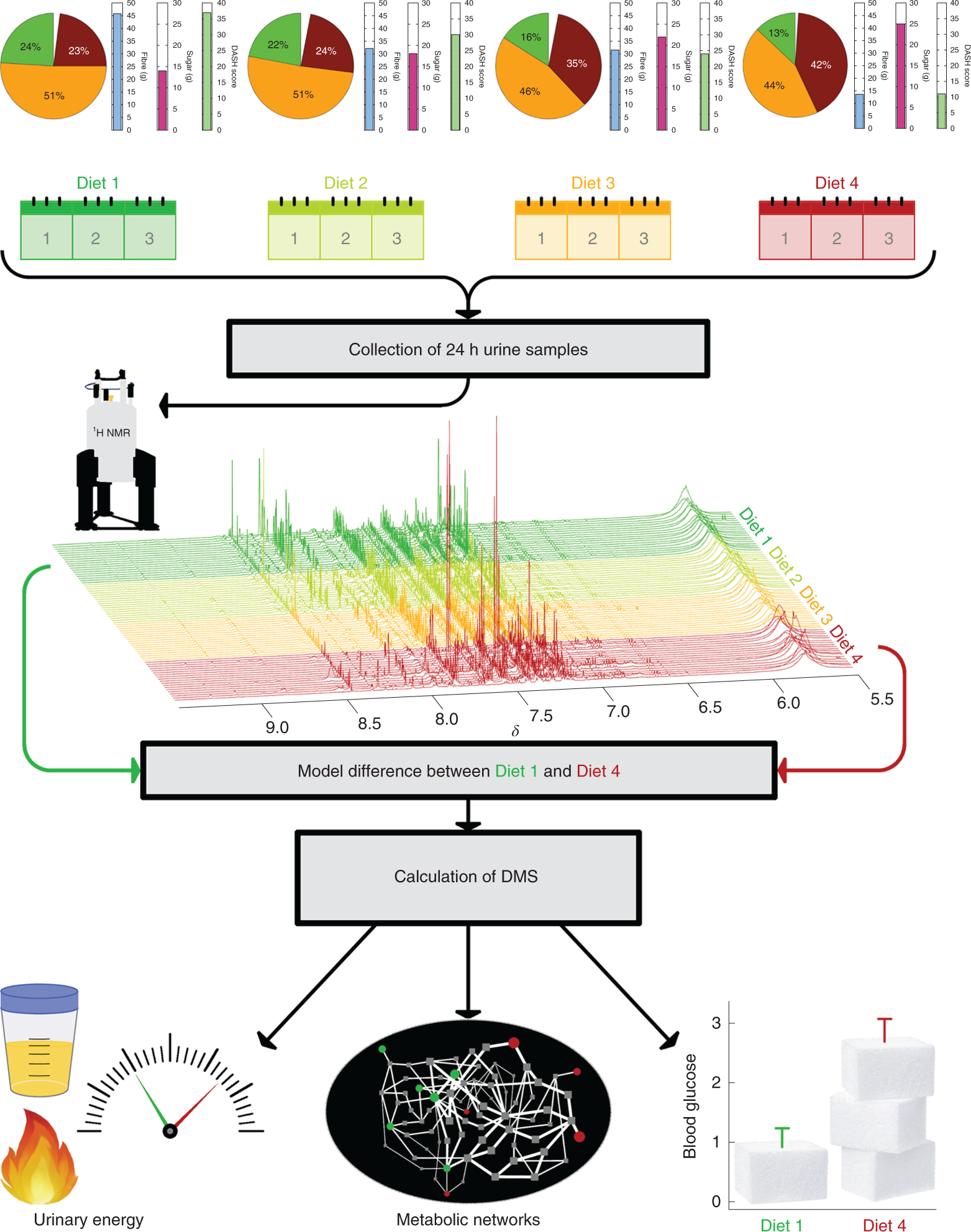 Dietary metabotype modelling predicts individual responses to dietary  interventions | Nature Food