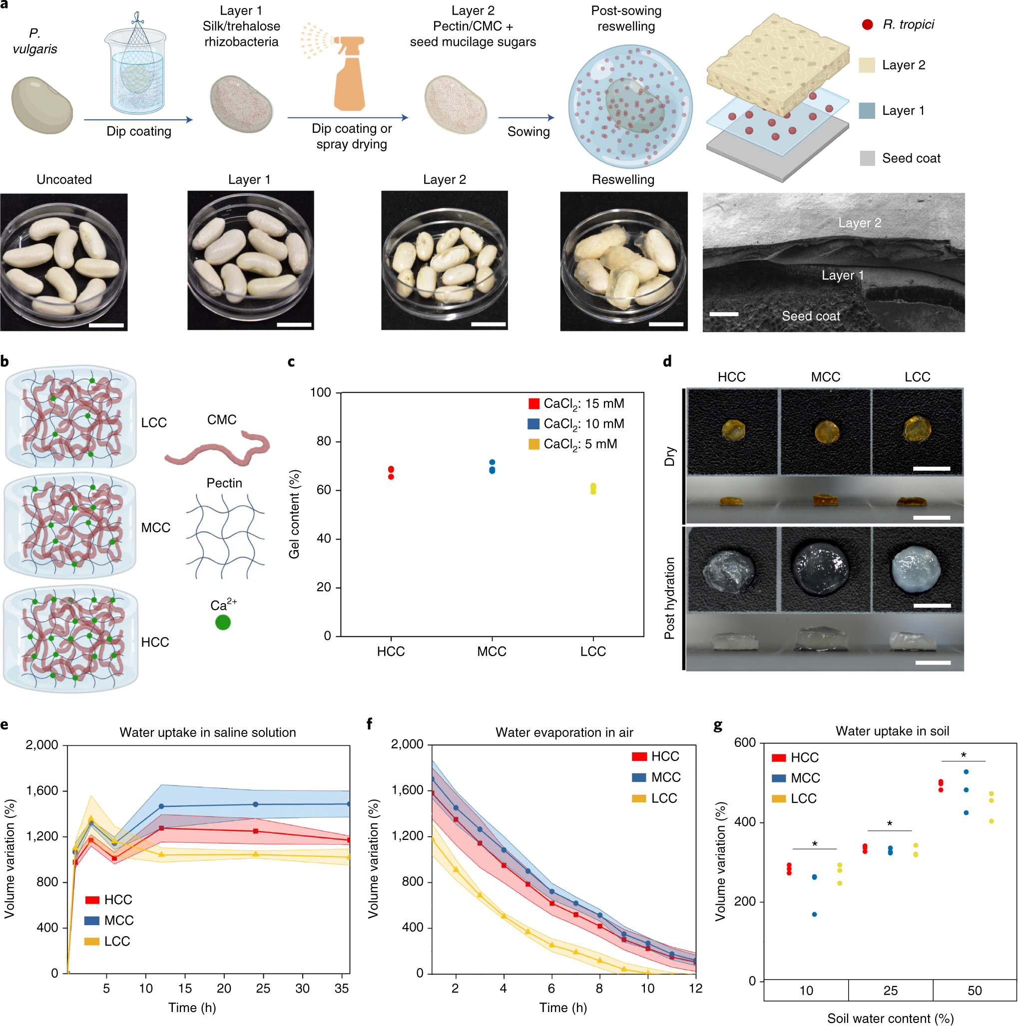 Programmable Design Of Seed Coating Function Induces Water Stress Tolerance In Semi Arid Regions Nature Food
