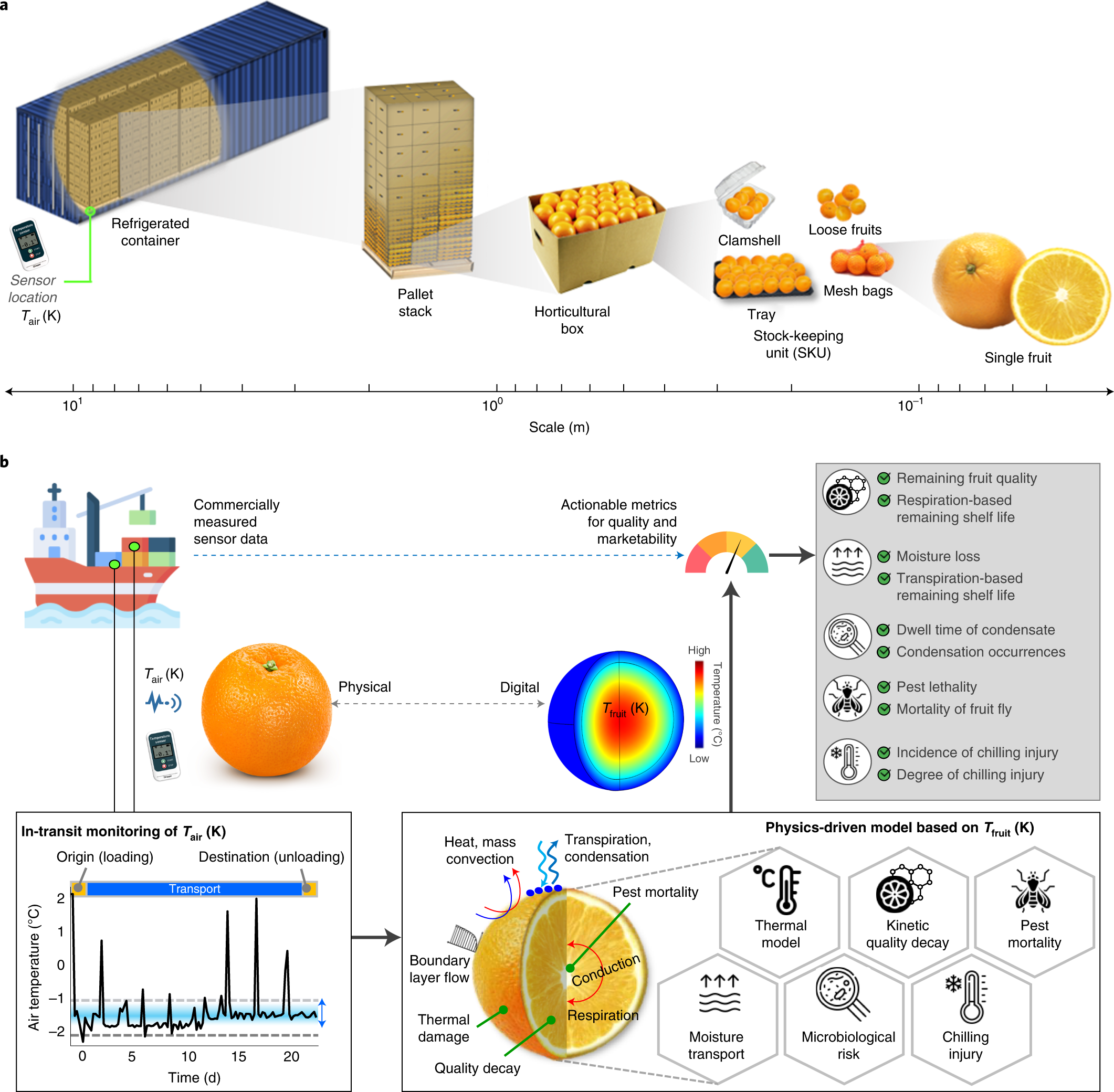 Borton Fruit's Digital Journey with Neogen® Analytics