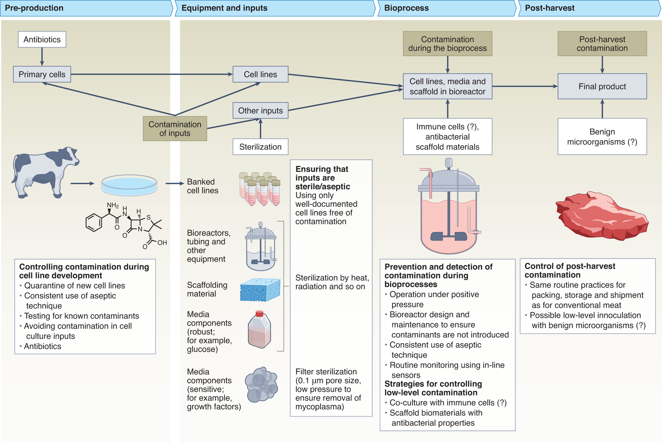 Antibiotics, Free Full-Text