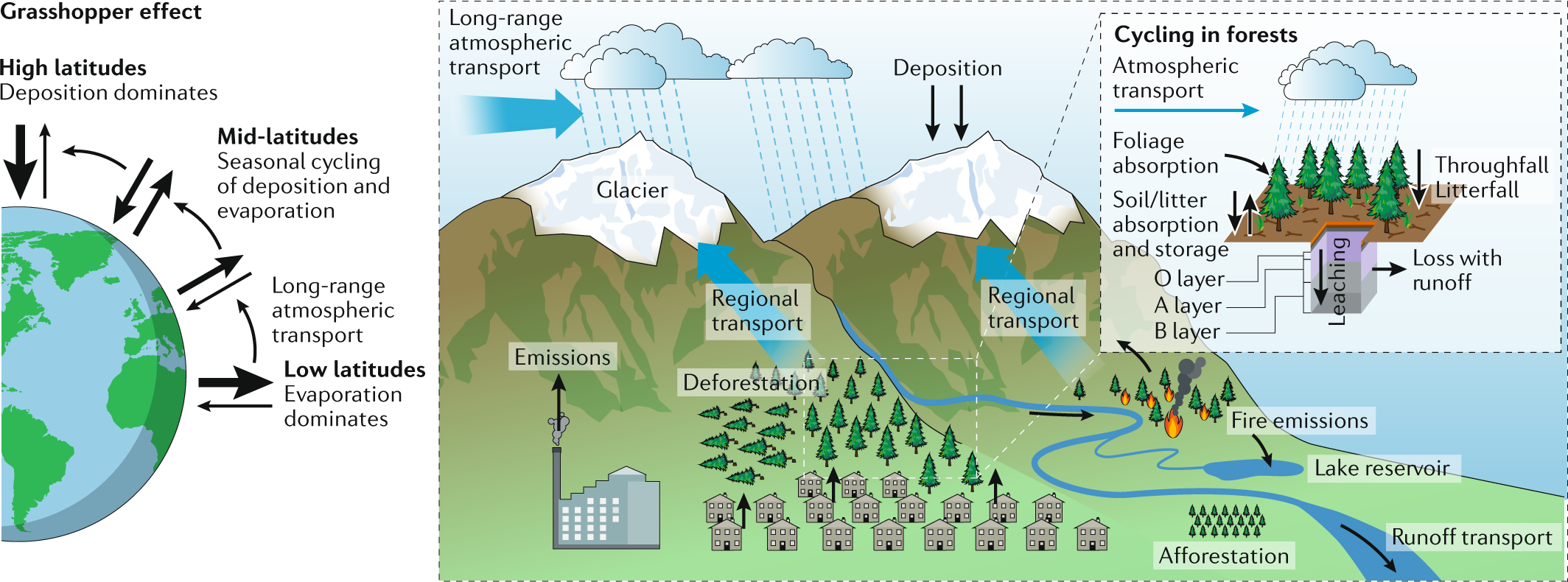 Persistent organic pollutant cycling in forests | Nature Reviews Earth &  Environment