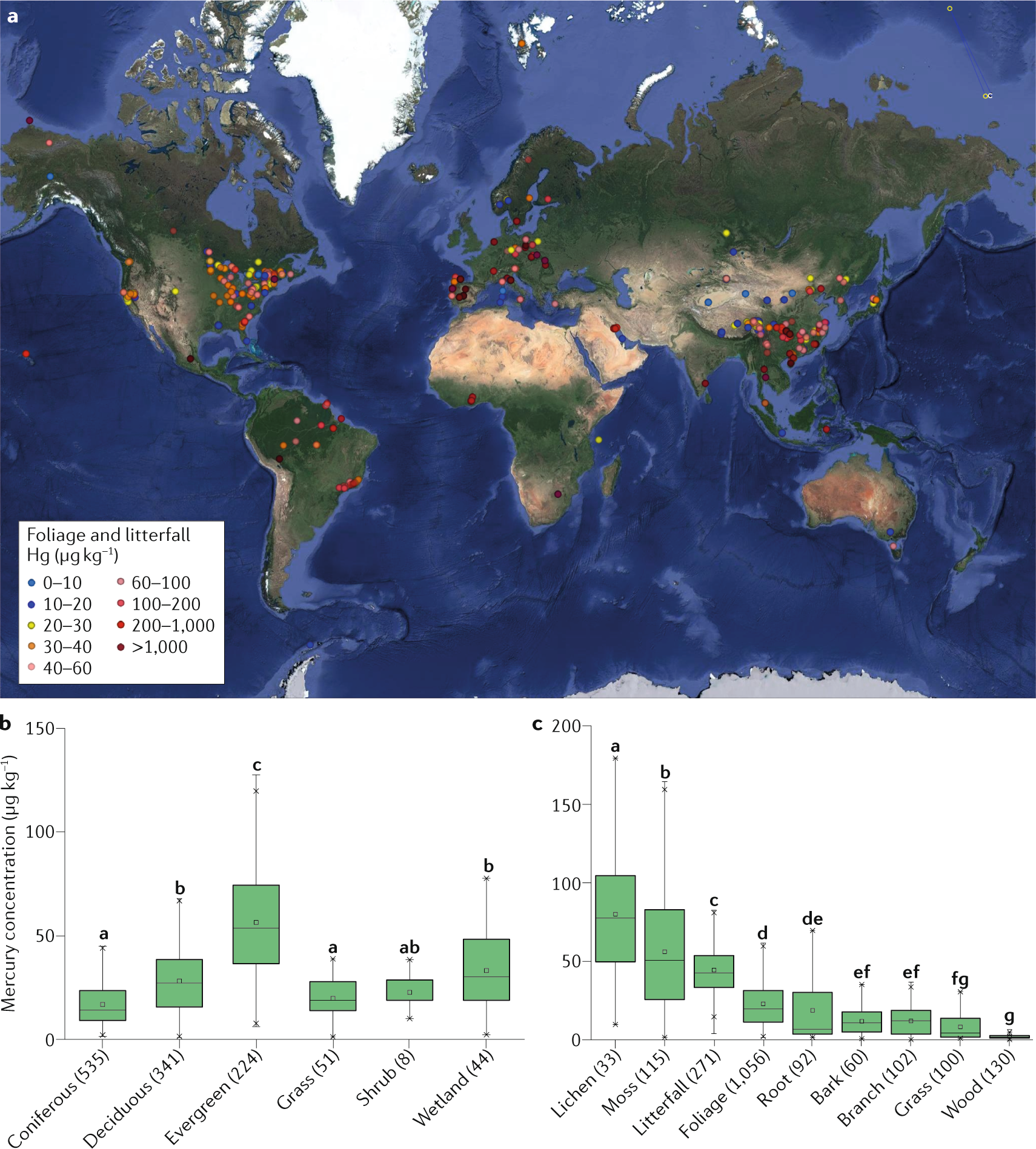 Vegetation uptake of mercury and impacts on global cycling | Nature Reviews  Earth & Environment