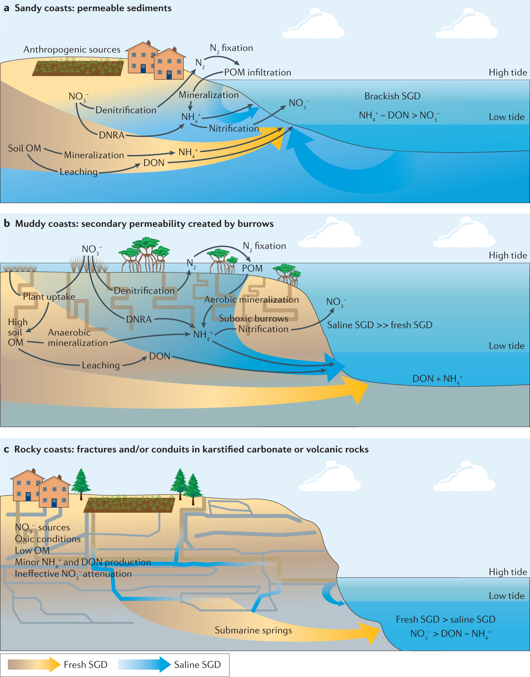 Submarine groundwater discharge impacts on coastal nutrient biogeochemistry  | Nature Reviews Earth & Environment