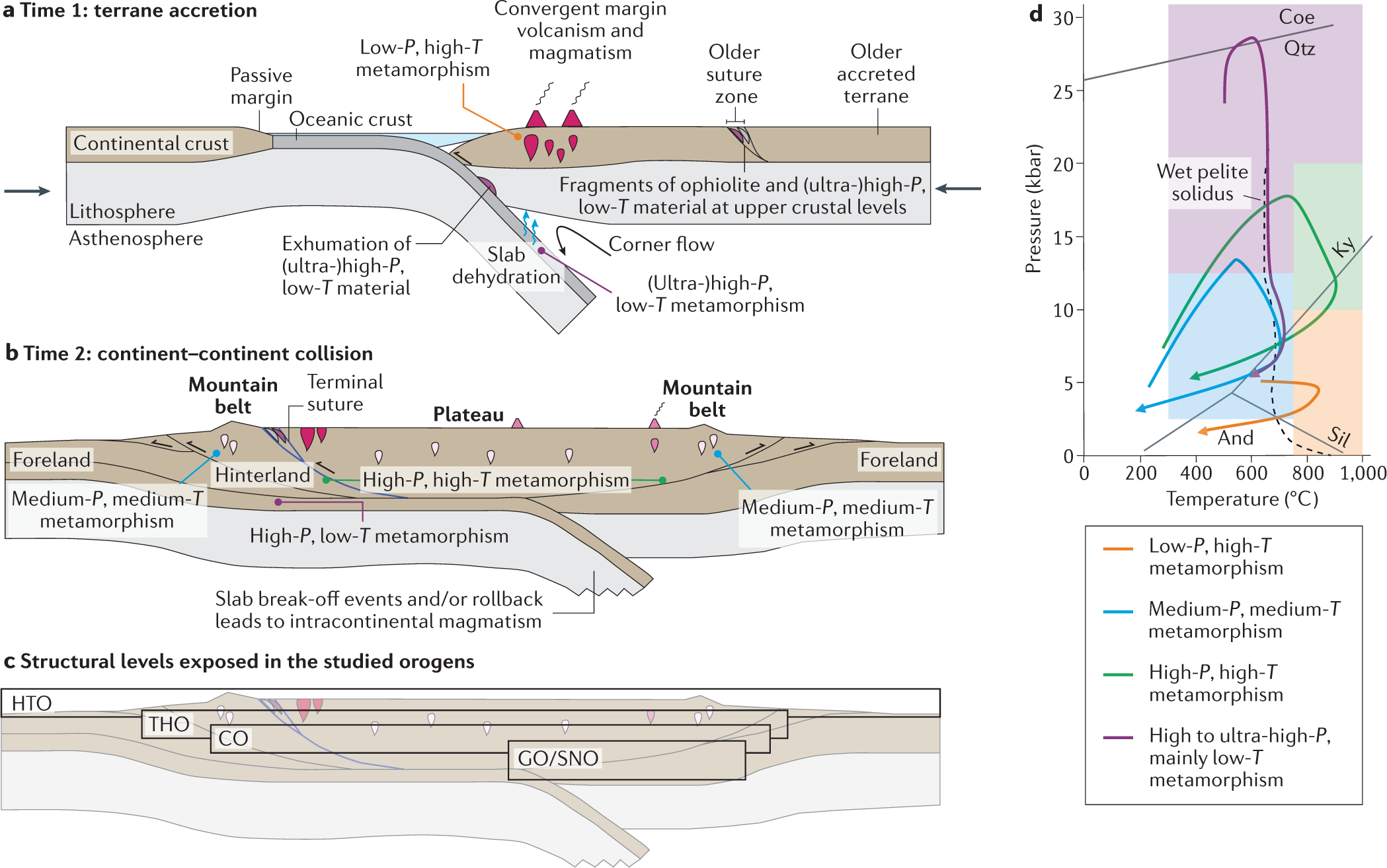 PDF) Structural and kinematic analysis of the Early Paleozoic