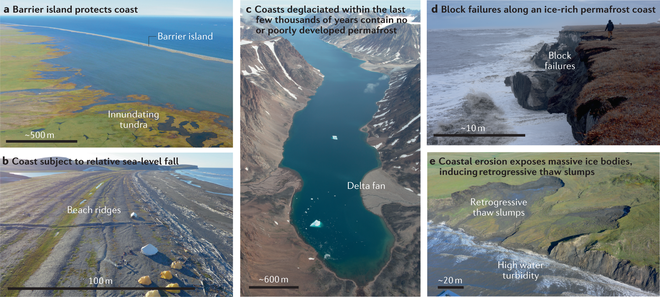 Drying of tundra landscapes will limit subsidence-induced acceleration of  permafrost thaw