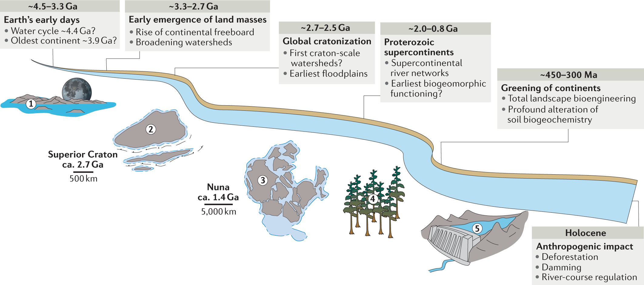 The impact of vegetation on meandering rivers | Nature Reviews Earth &  Environment