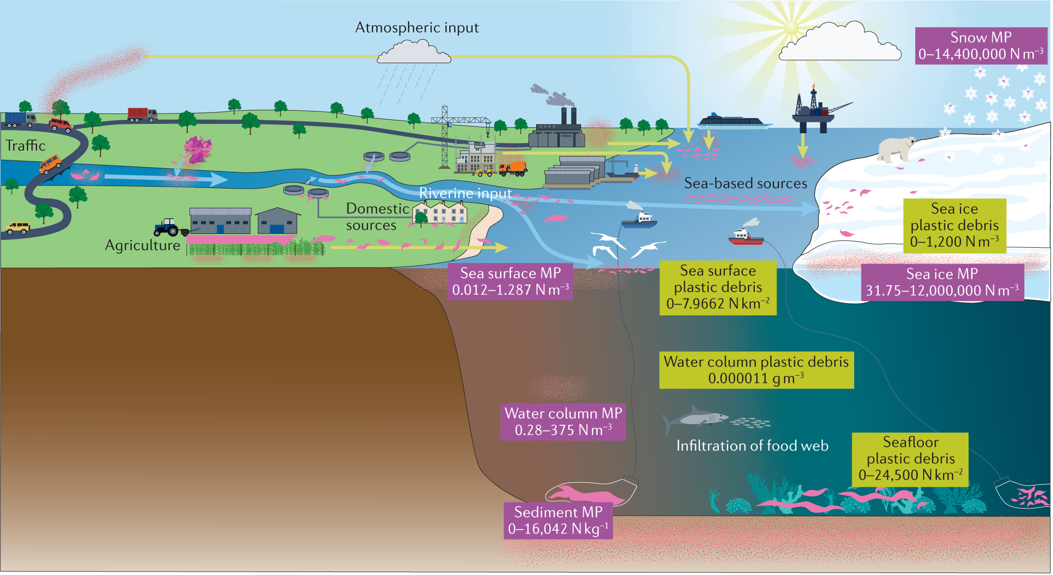 Plastic pollution in the Arctic  Nature Reviews Earth & Environment