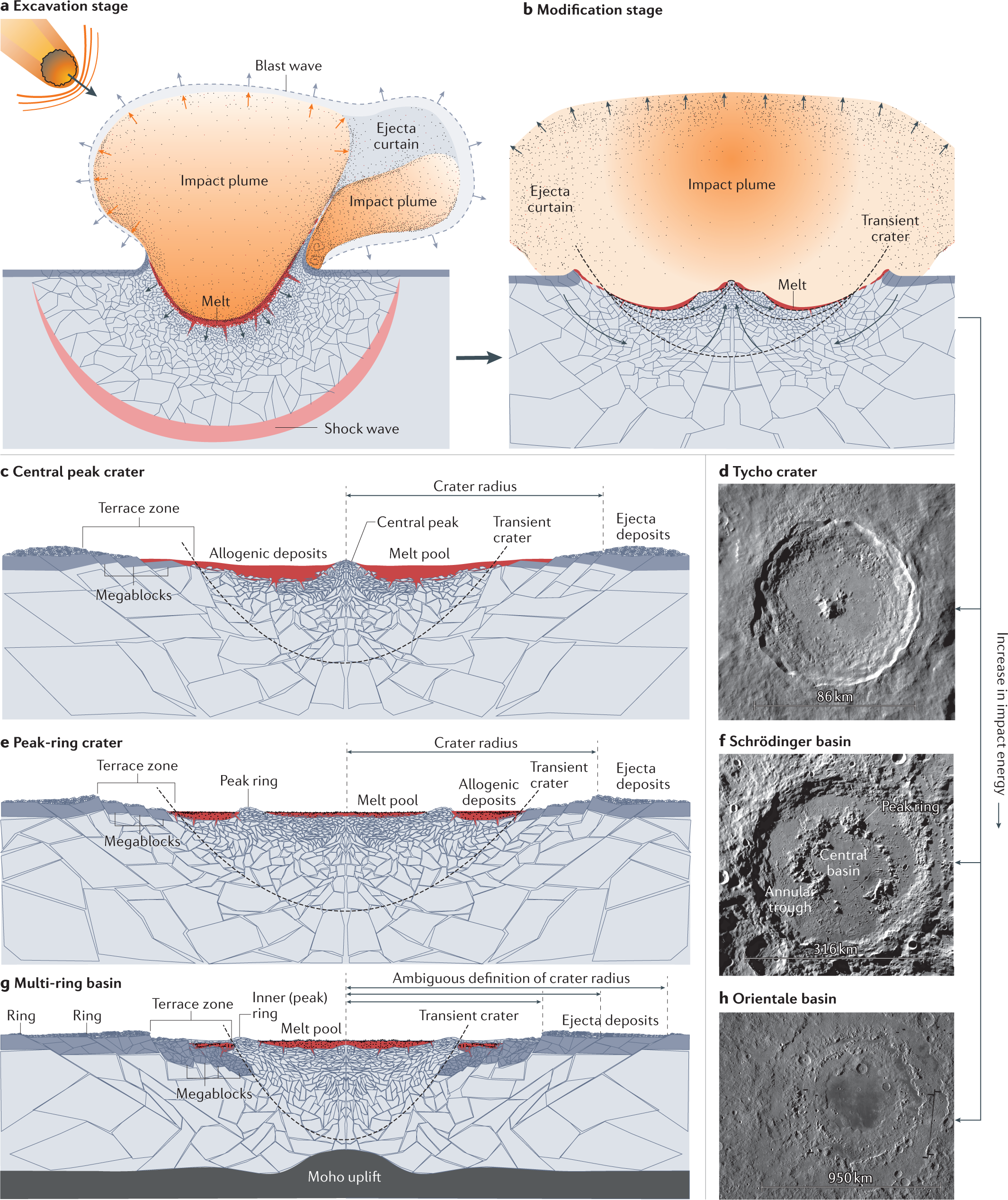 The Chicxulub impact and its environmental consequences | Nature Reviews  Earth & Environment