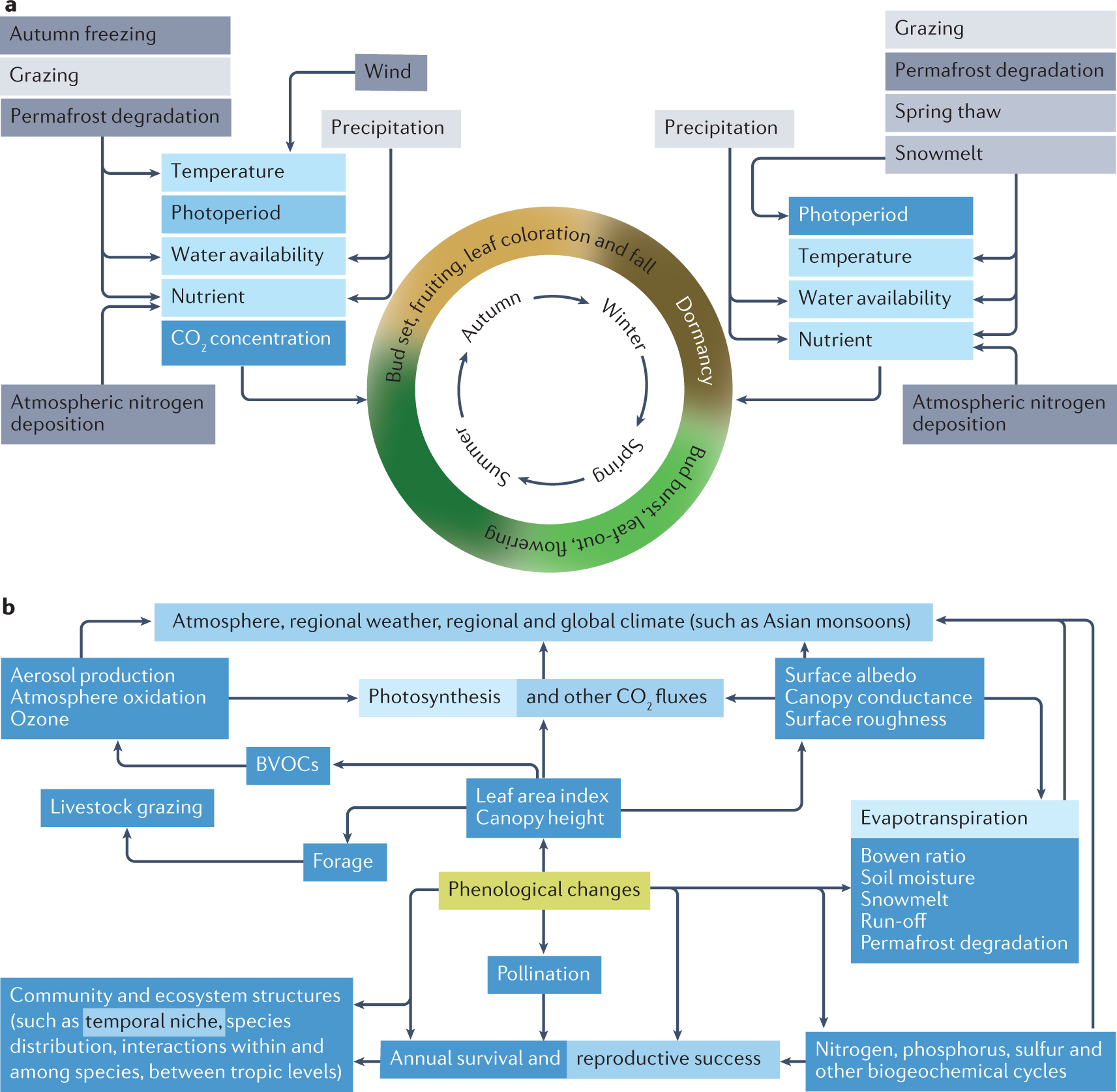 Frontiers  Growth patterns and environmental adaptions of the tree species  planted for ecological remediation in typhoon-disturbed areas—A case study  in Zhuhai, China