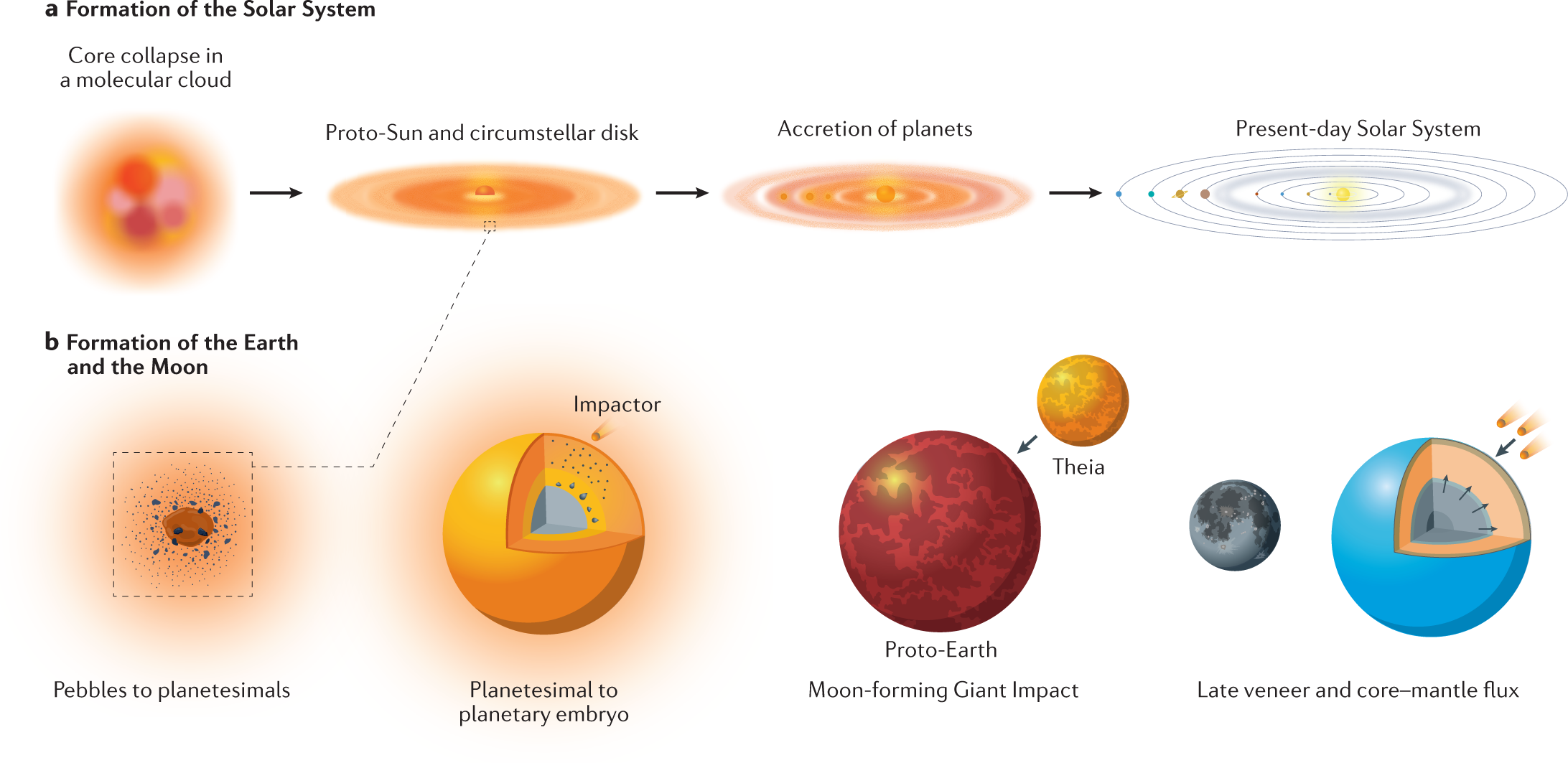 Planet Steel Rules - Planet Plus Ltd