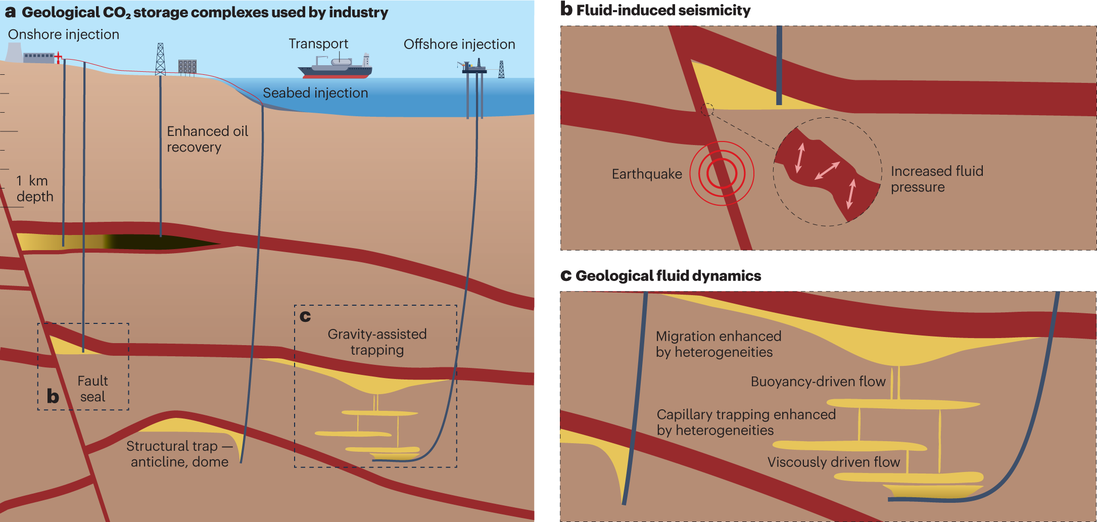 Underground gas storage as a promising natural methane bioreactor and  reservoir? - ScienceDirect