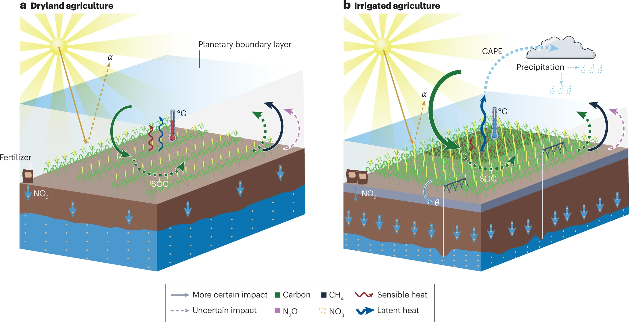principais processos e mecanismos através dos quais a agricultura de sequeiro (painel a ) e a agricultura irrigada (painel b )