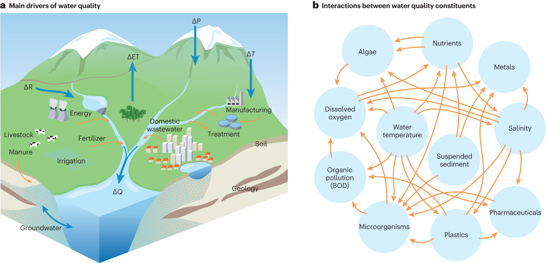 Gold mining critically impairs water quality in rivers across