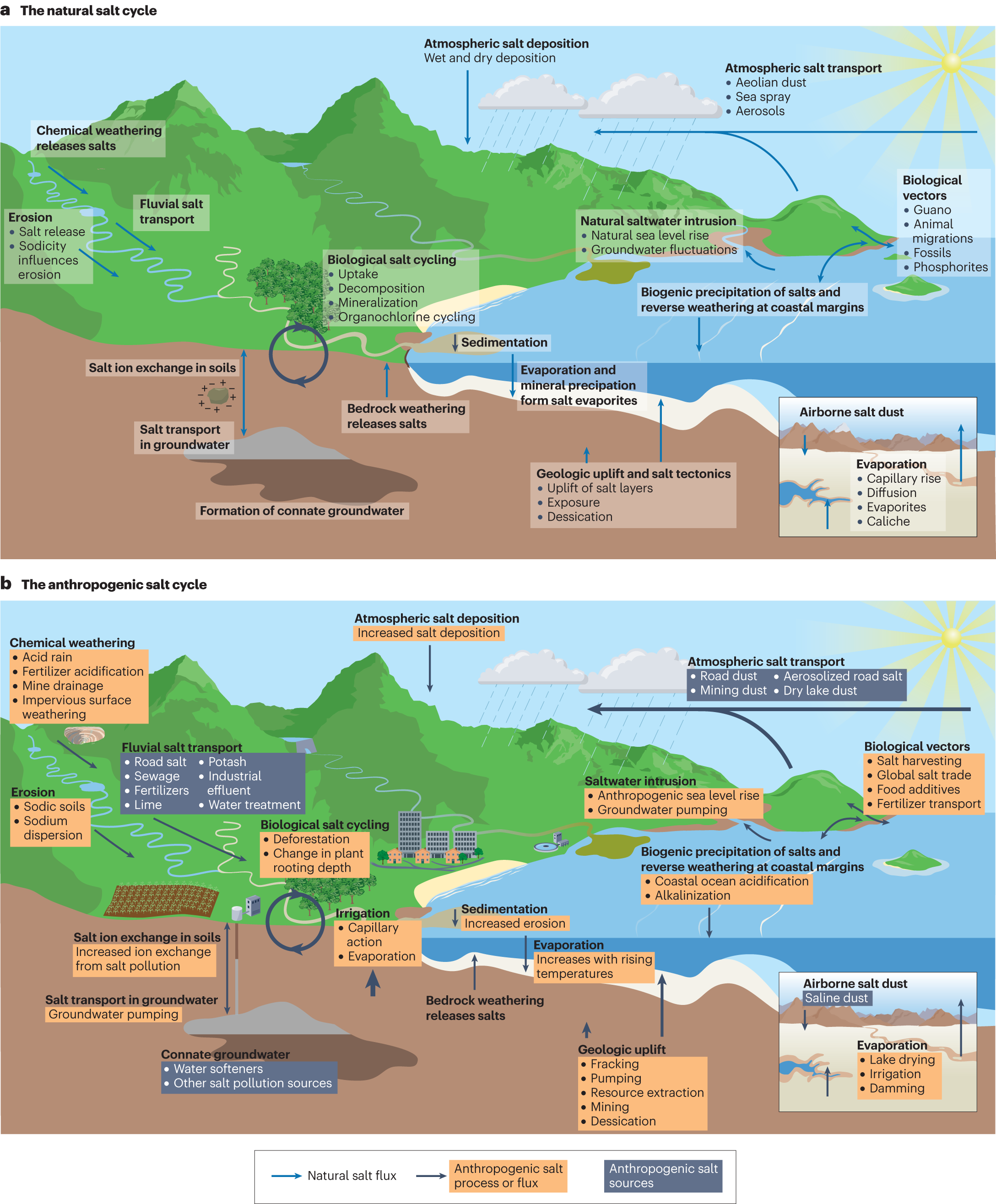 The anthropogenic salt cycle  Nature Reviews Earth & Environment