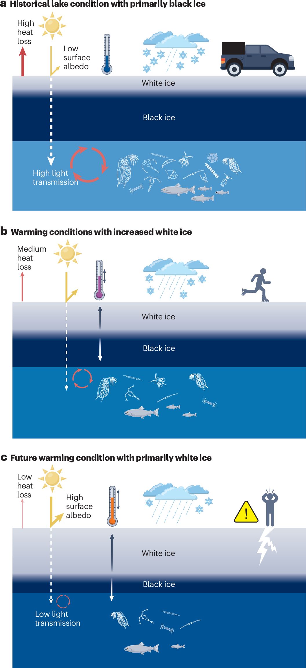 Lake ice quality in a warming world | Nature Reviews Earth & Environment