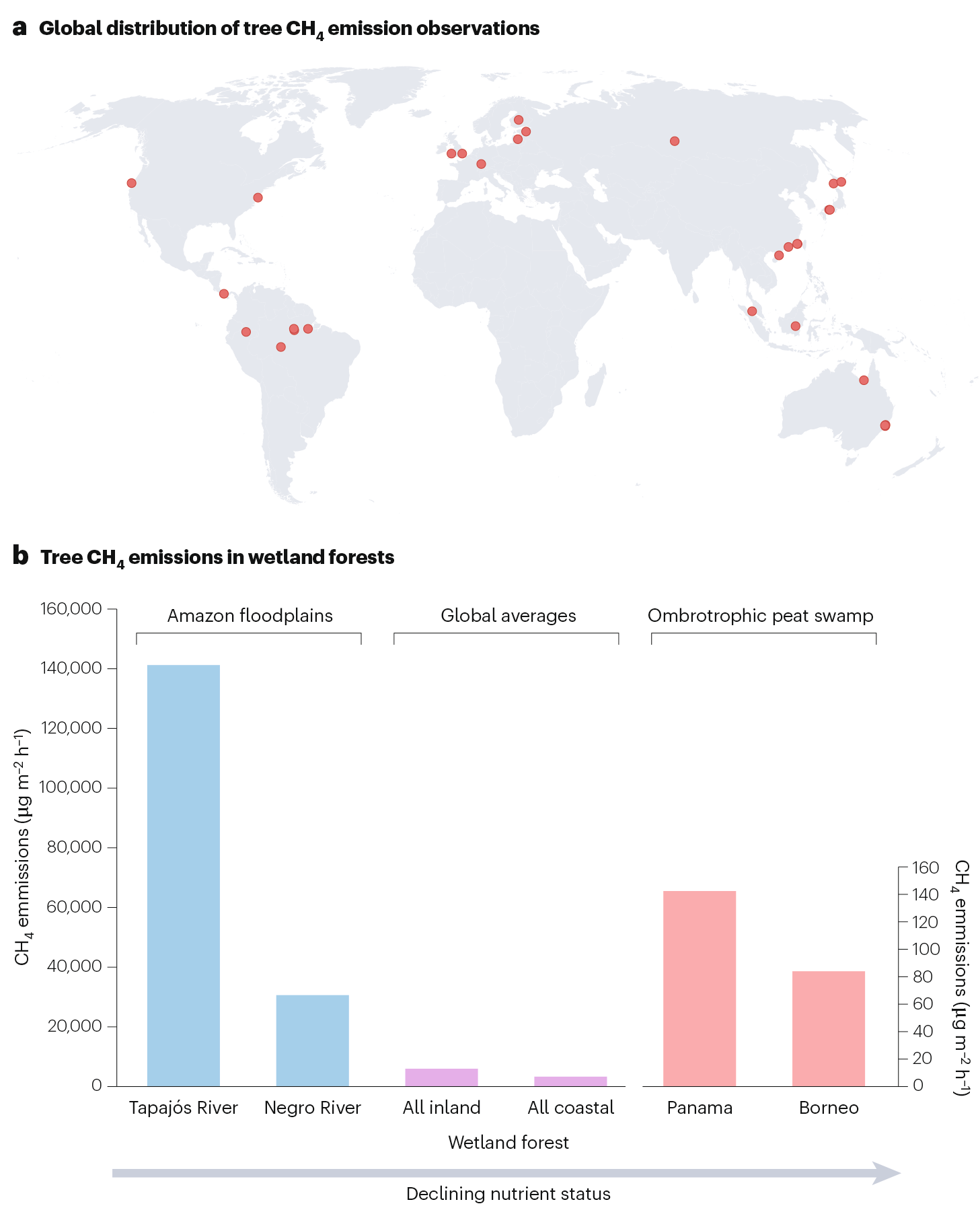 Tree methane exchange in a changing world | Nature Reviews 