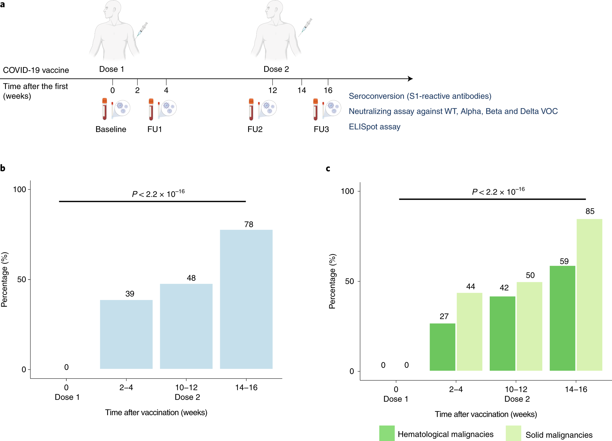 Adaptive Immunity And Neutralizing Antibodies Against Sars Cov 2 Variants Of Concern Following Vaccination In Patients With Cancer The Capture Study Nature Cancer