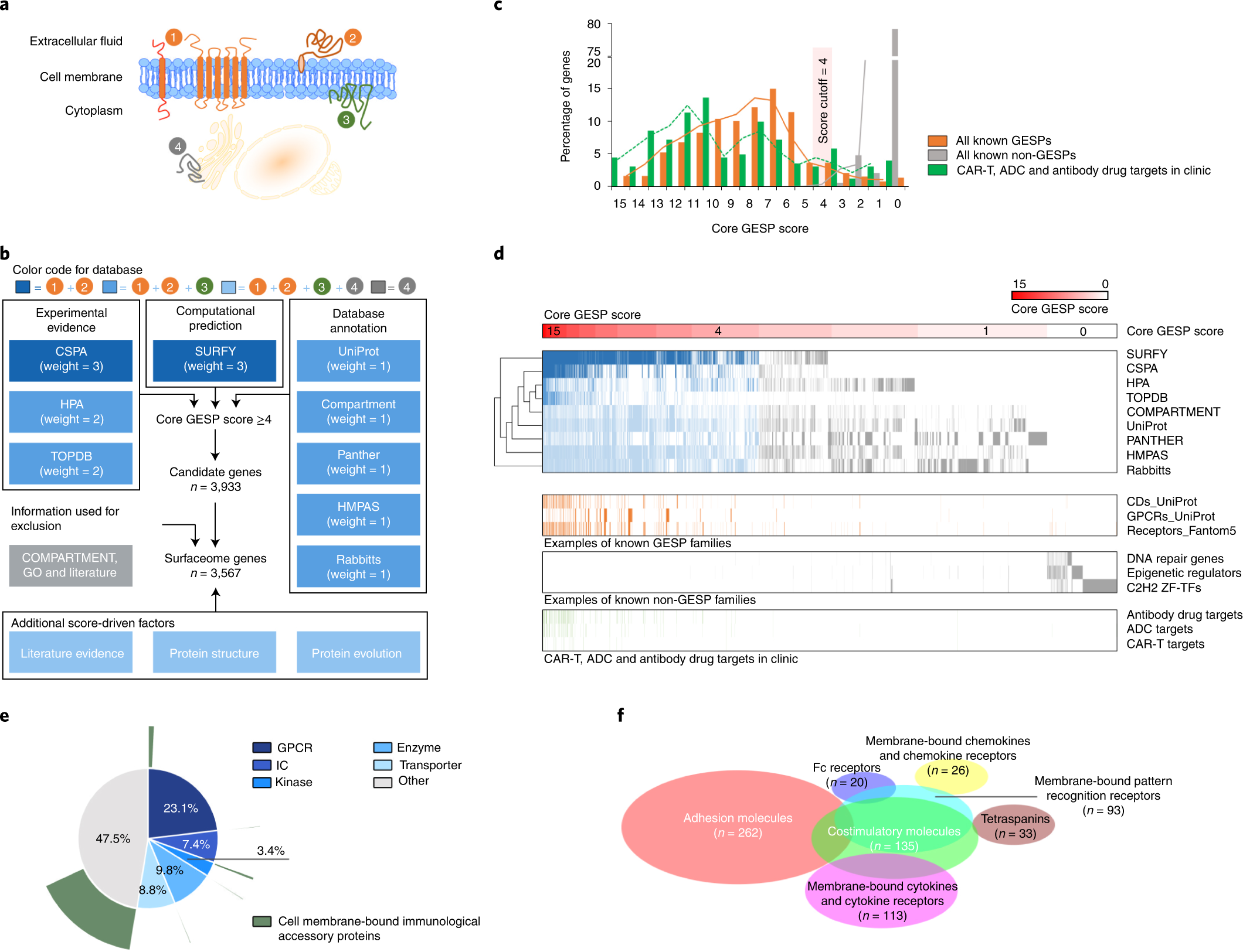 Illuminating the Surfaceome: A Path to Targeted Cancer Therapies?