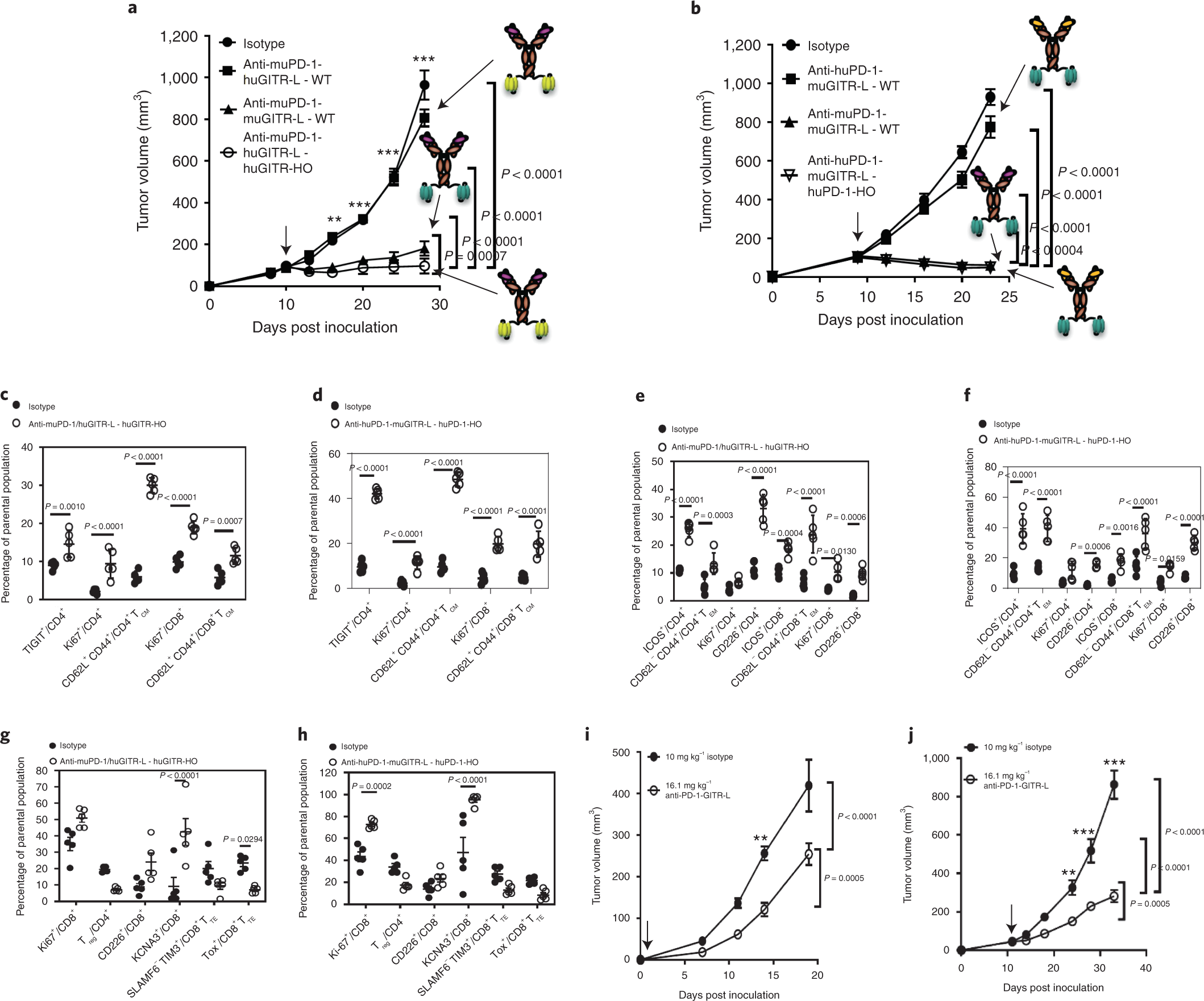 Fig. 5: The anti-huPD-1-huGITR-L bispecific induces MC-38 tumor growth inhibition in genetically engineered and humanized mouse models.