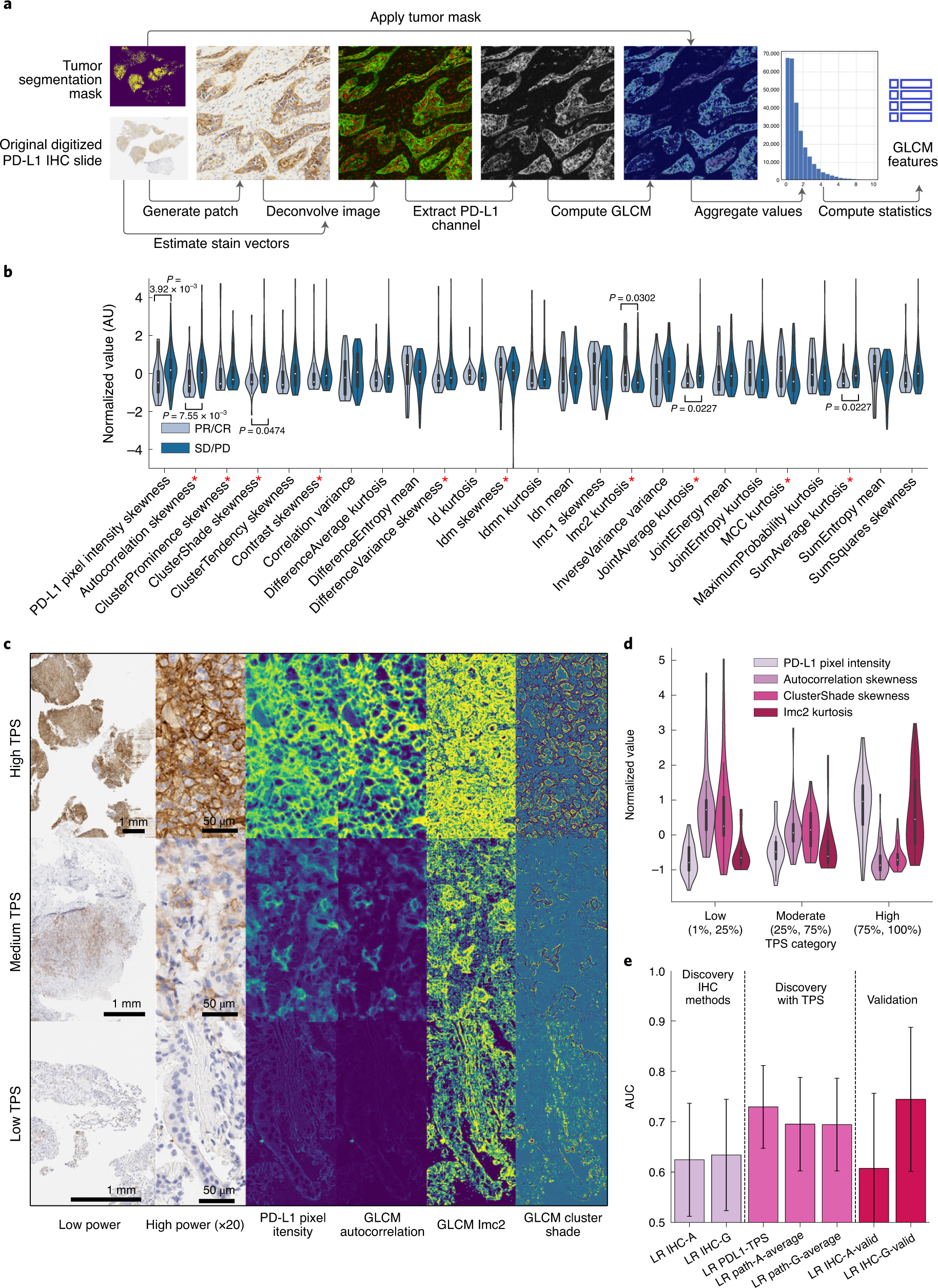 Fig. 3: PD-L1 immunohistochemistry feature derivation and prediction of response.