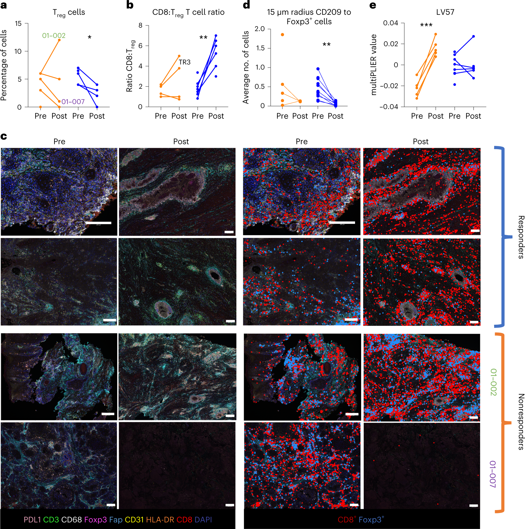 Fig. 4: Responders decrease immunosuppressive cells in the TME.