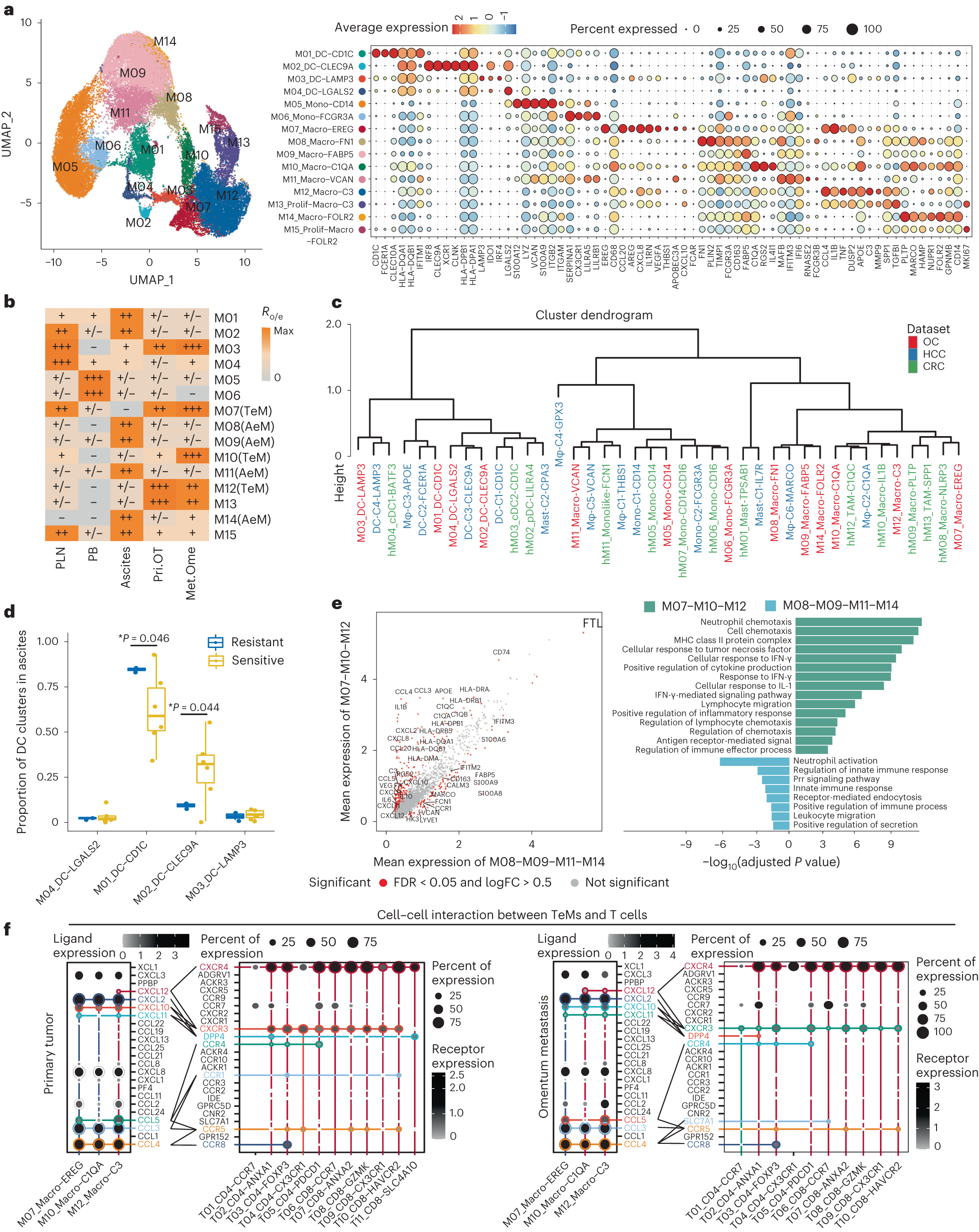 Fig. 4: Two distinct functional states of tumor-enriched and ascites-enriched macrophages in HGSOC.